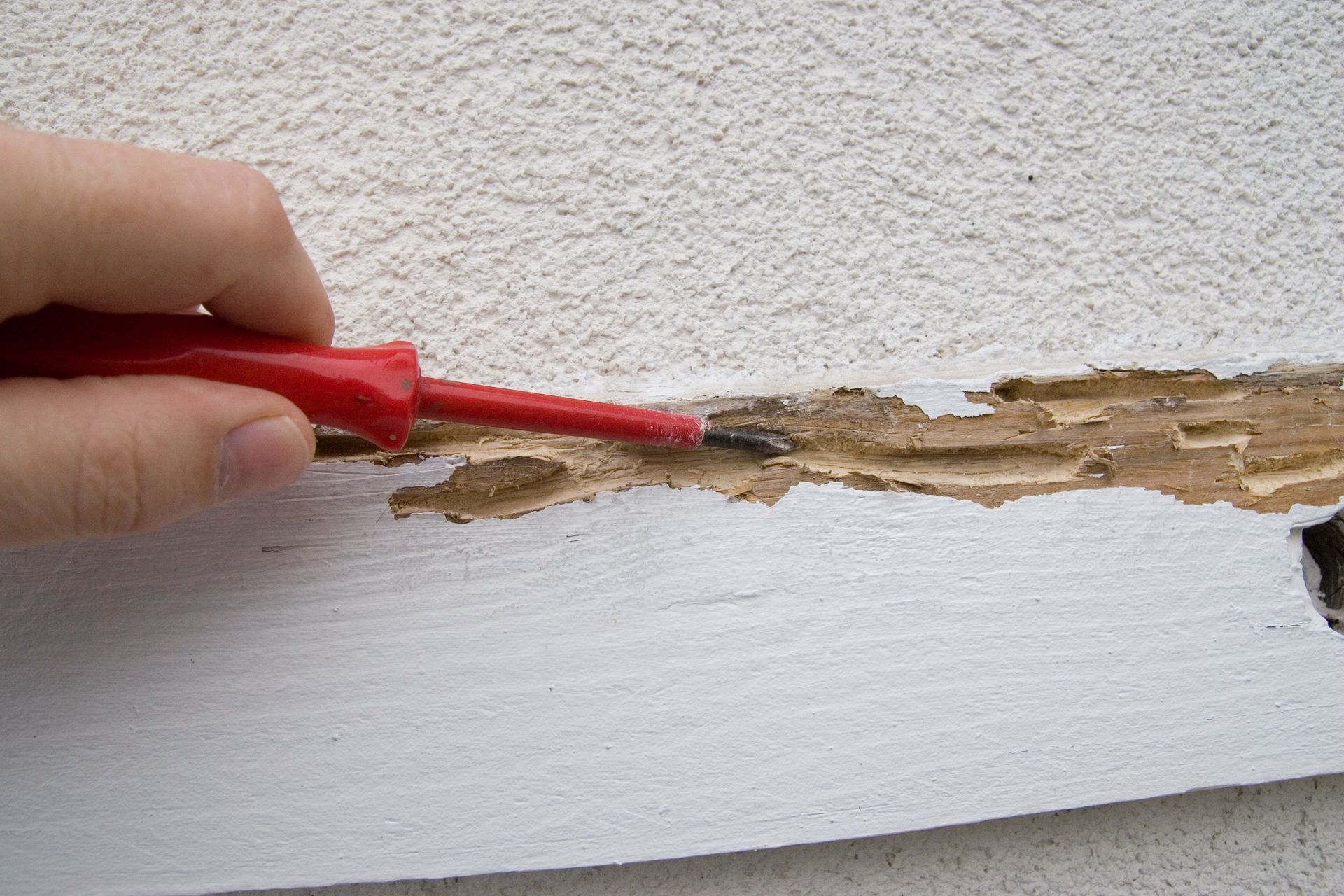 Exterminator from A&B Termite and Pest Control showing termite damage to a home during pest removal 