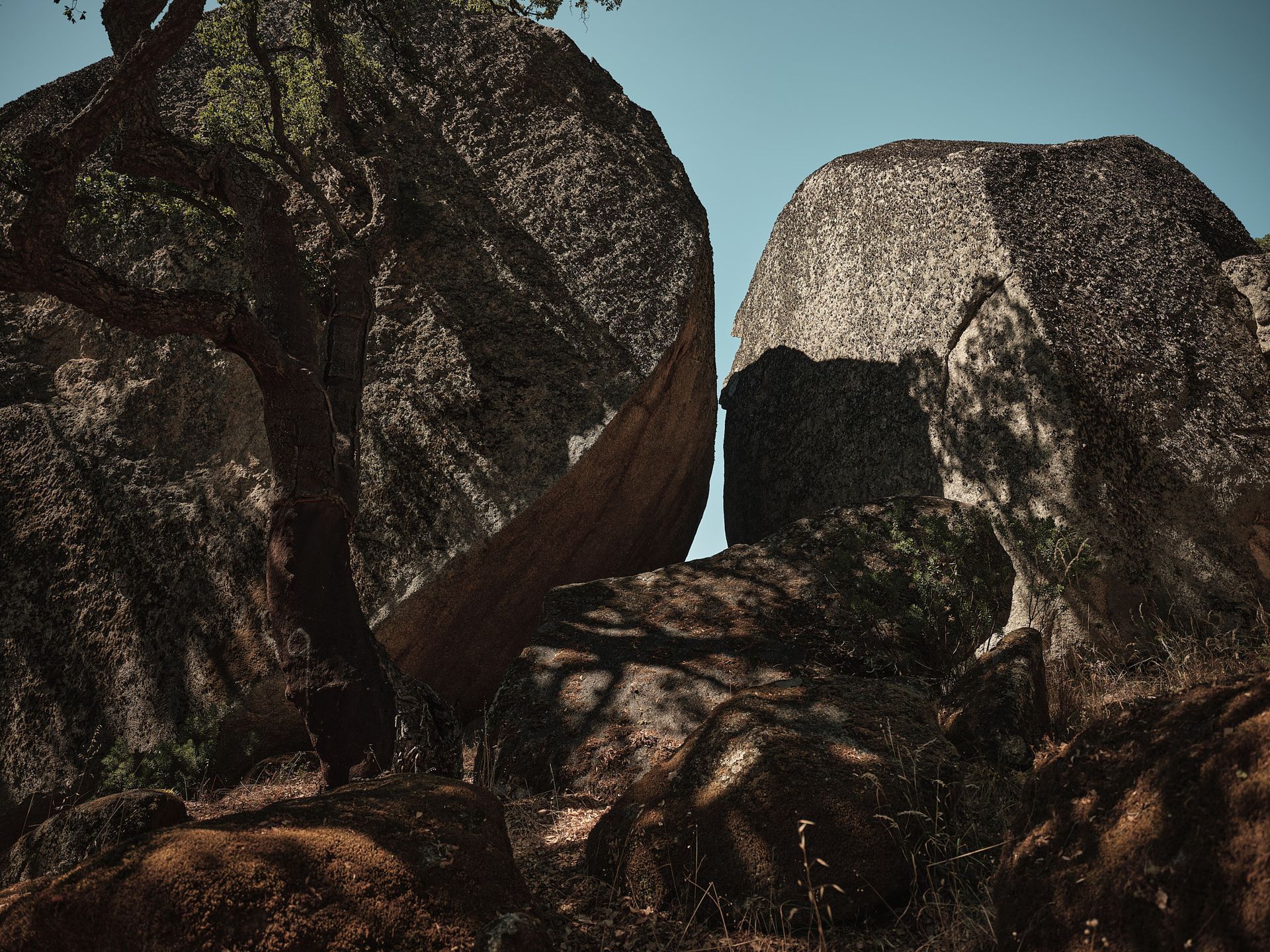 A large rock with a tree in the middle of it