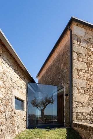 Stone buildings flank a glass entrance, reflecting a tree against a clear sky.