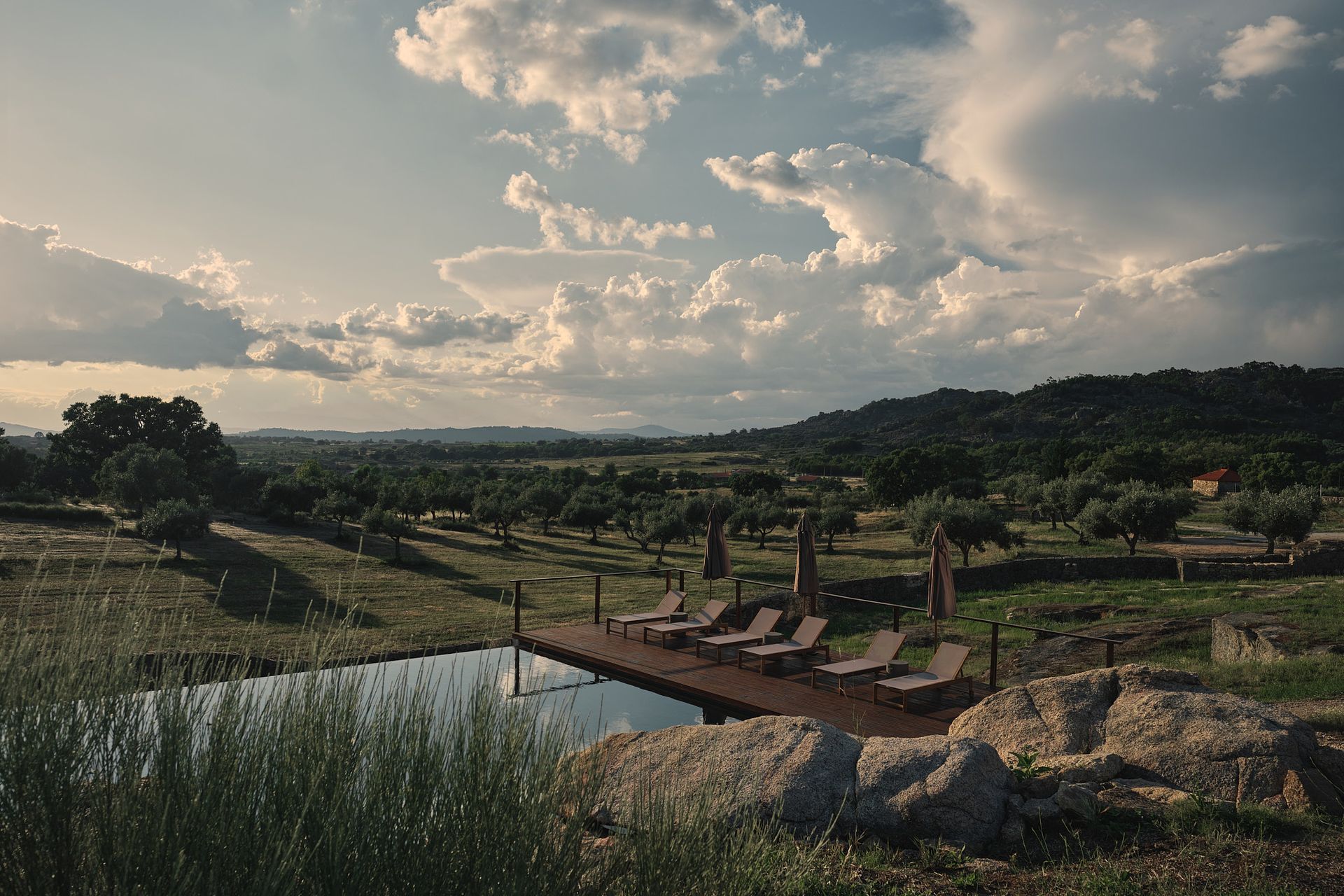 A swimming pool surrounded by chairs and umbrellas in the middle of a field