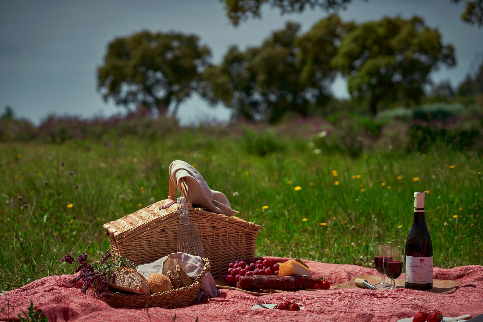 There is a picnic basket and a bottle of wine on the blanket.