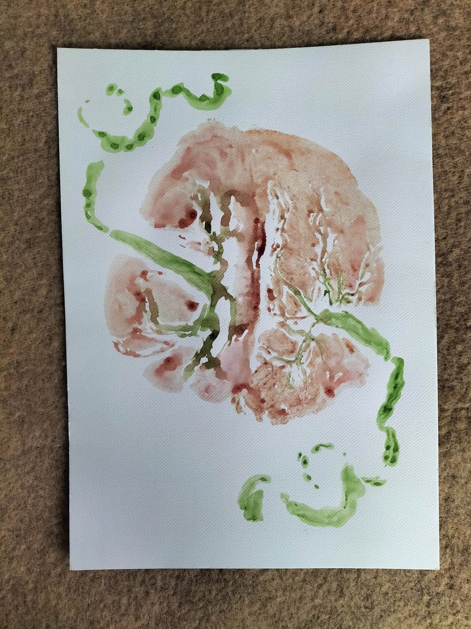 Schilderij van aquarelverf. Tweelingplacenta.