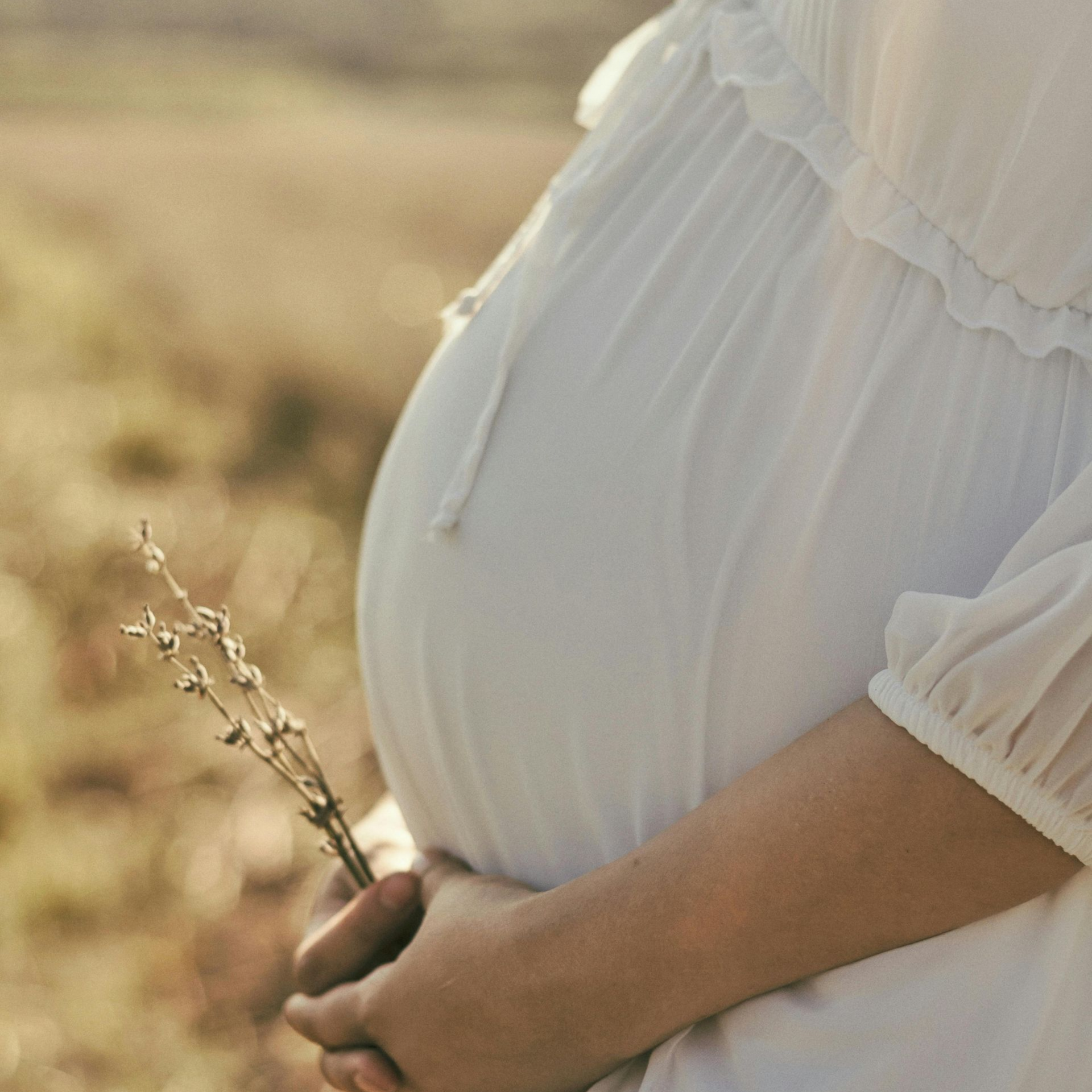 Een zwangere vrouw in een witte jurk houdt gedroogde bloemen vast in een zonovergoten veld.