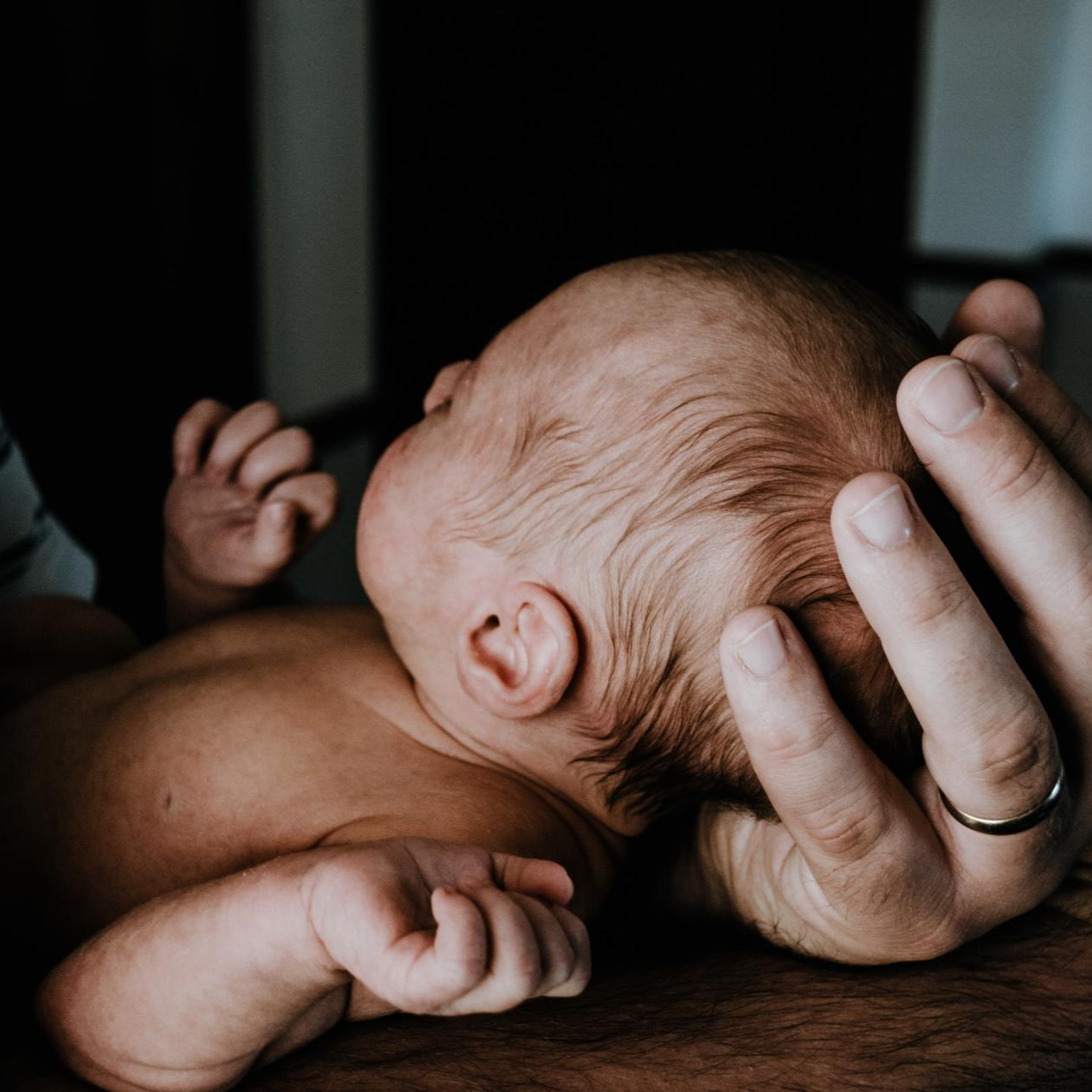 Een pasgeboren baby wordt in het schemerlicht voorzichtig vastgehouden door een volwassen hand.