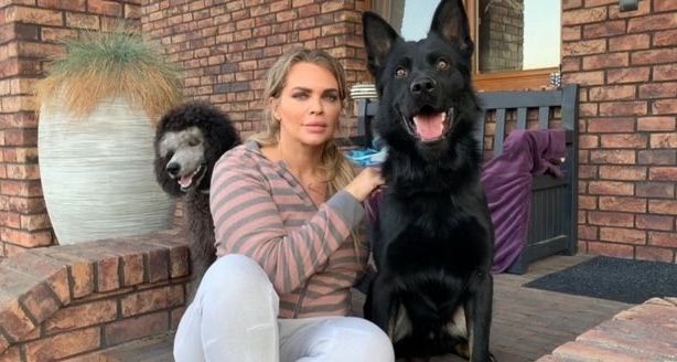 atlanta homeowner with trained protection dog atlanta homeowner with trained protection dog