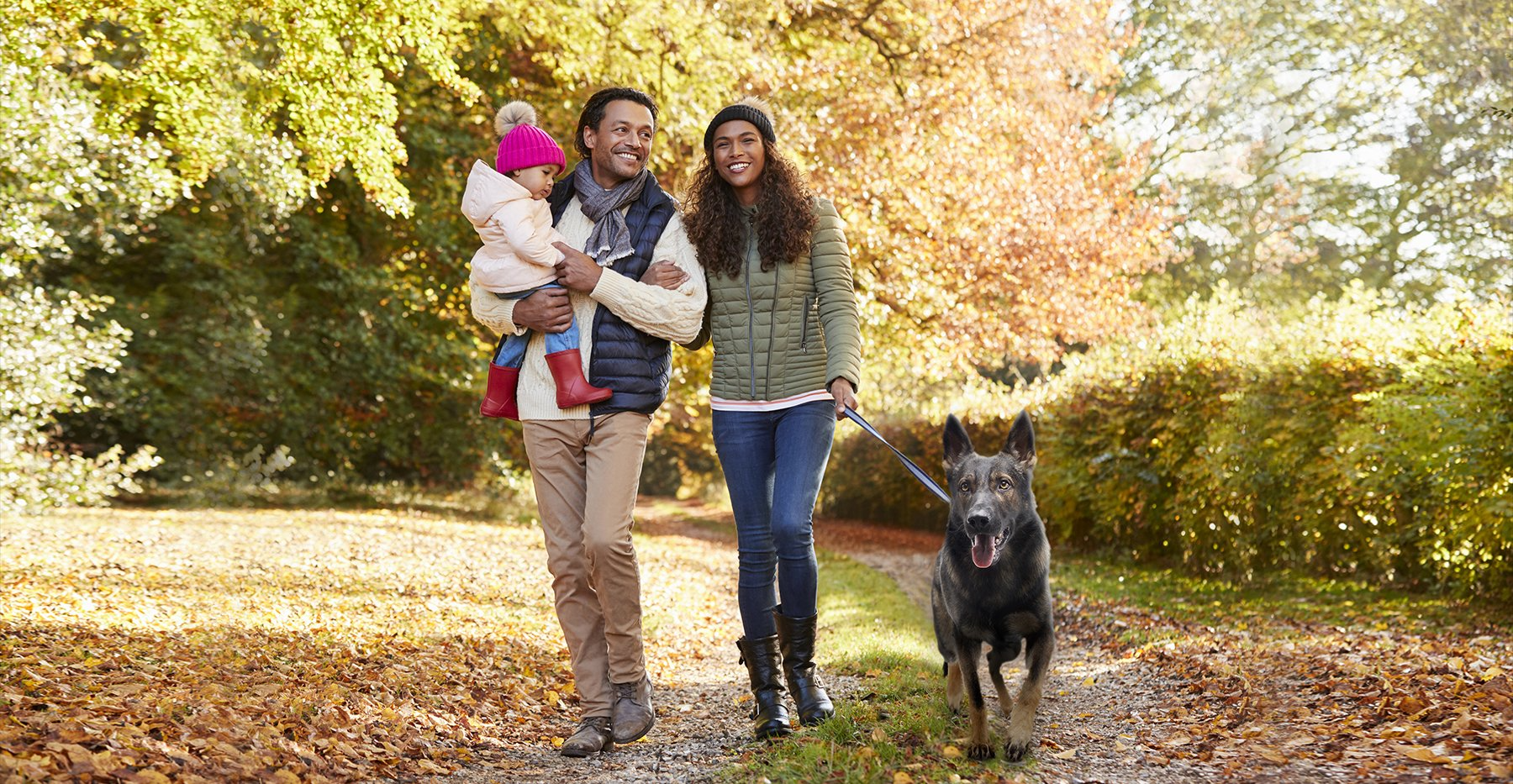 A family is walking protection dog in a park.