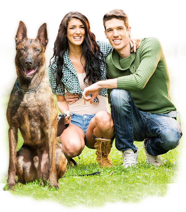 select the perfect dog