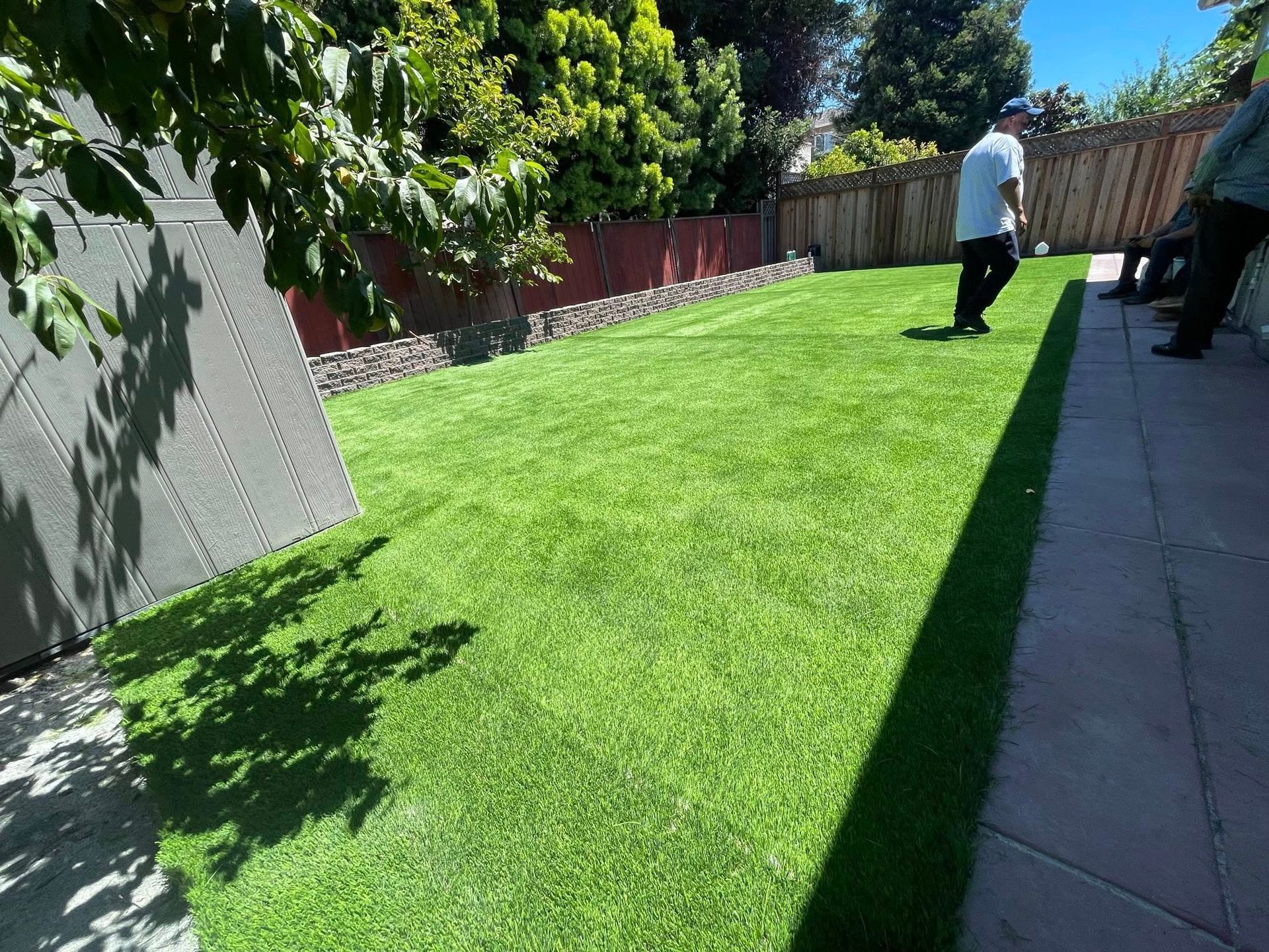 Sunny backyard lawn with two people near a fence and paved patio.