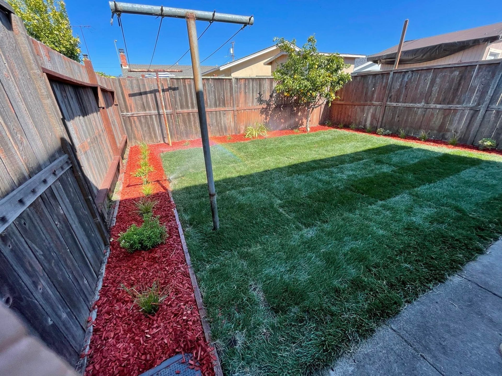 Backyard with green lawn, red mulch borders, wooden fence, and a clothesline pole under a blue sky