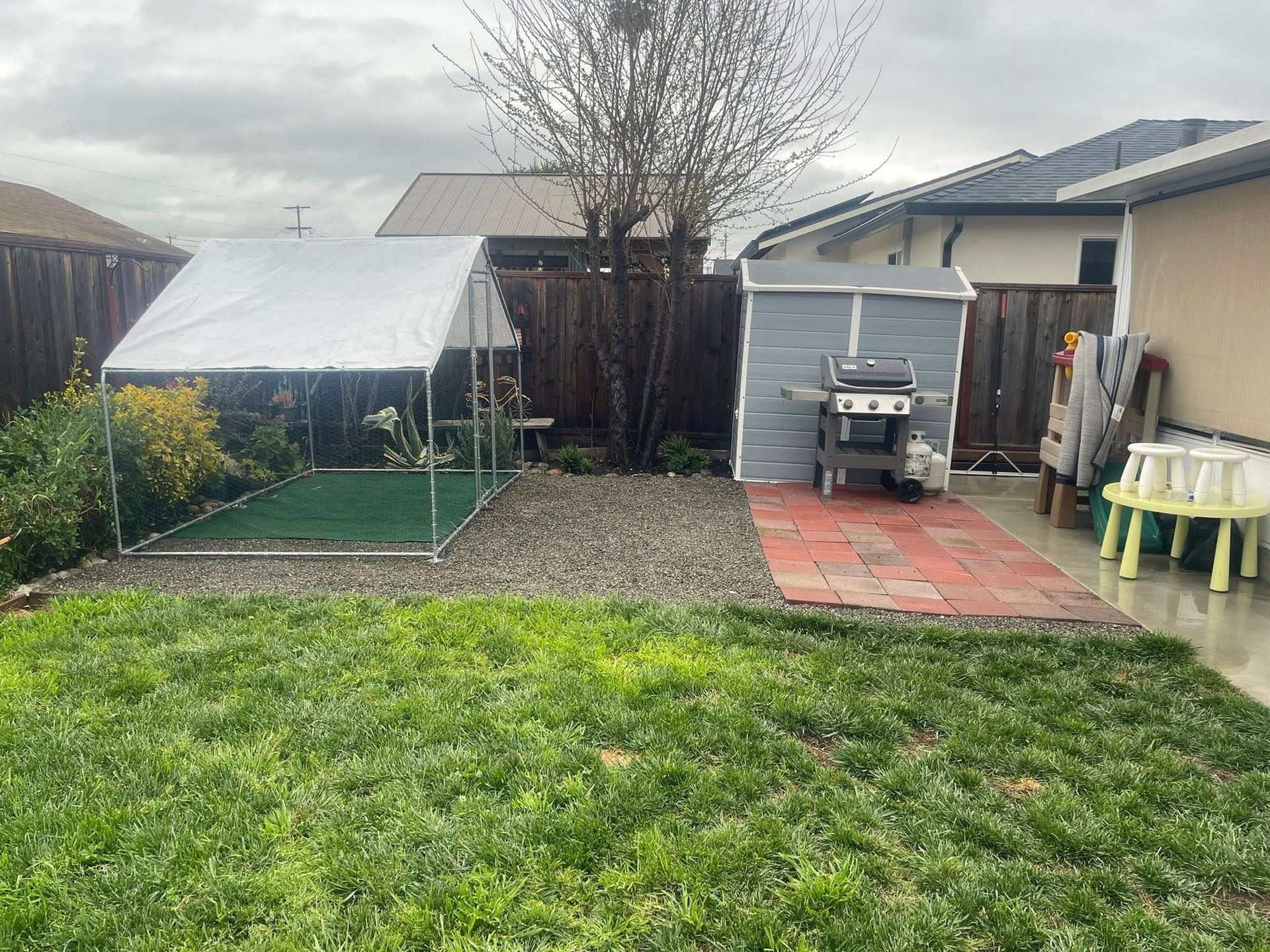 Backyard with greenhouse, gravel and grass, a barbecue grill, and a small patio table with yellow chairs.