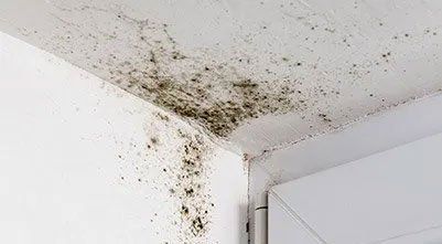 Water damage