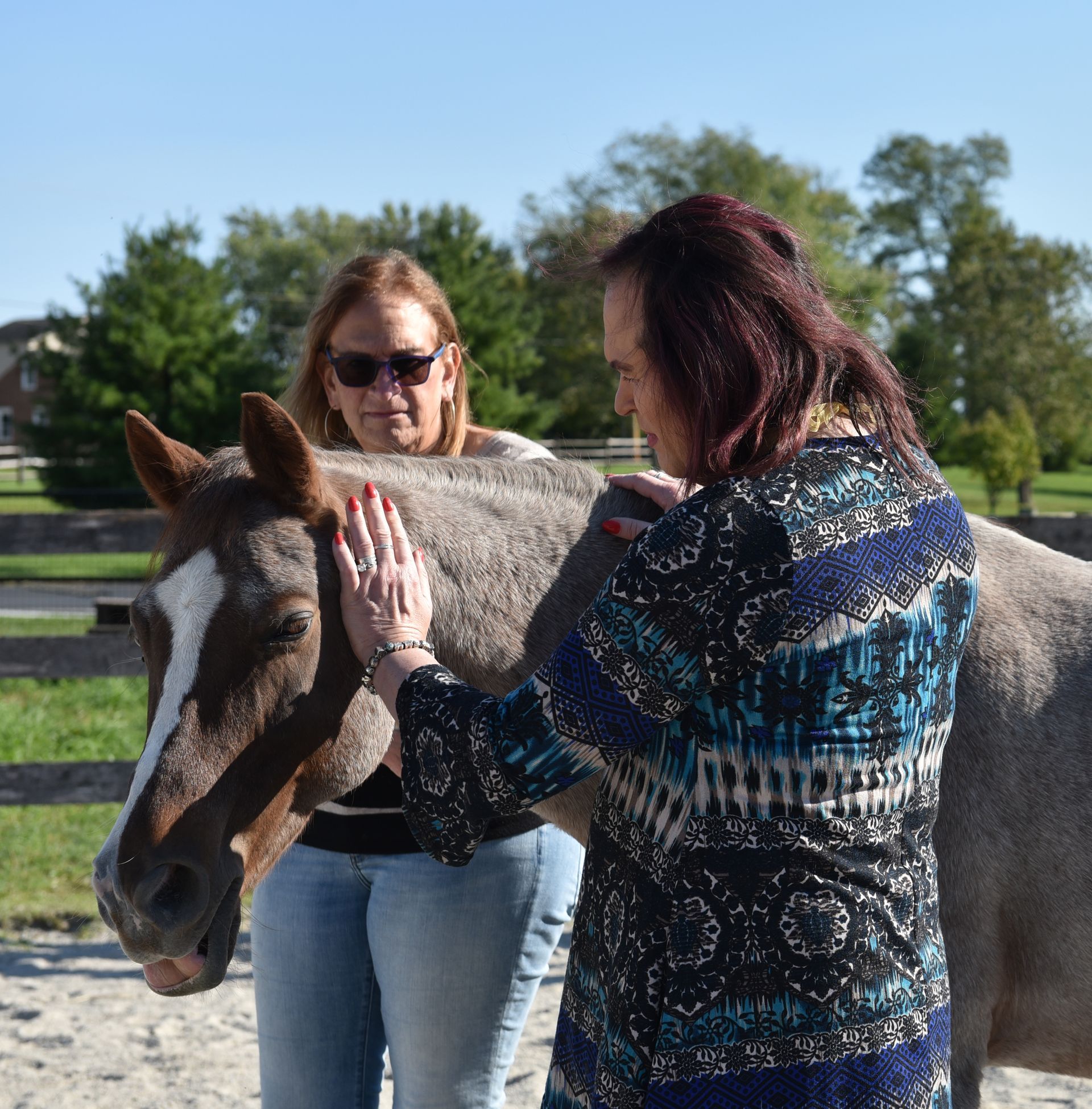 cassandra storm, liz tattersall and kristy snow with a mini horse
