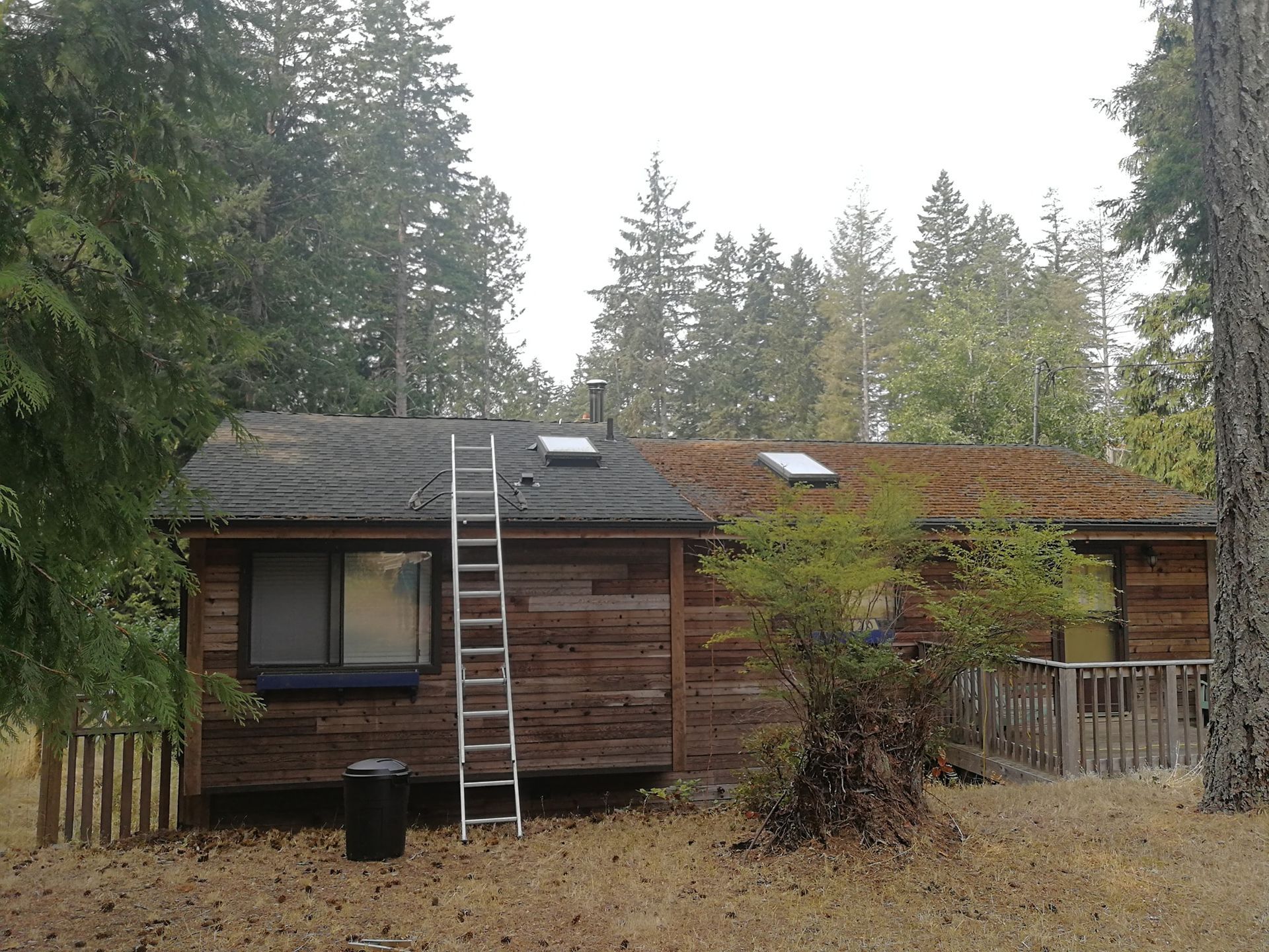 Wooden cabin with a ladder on the roof, surrounded by tall trees and a fenced yard.