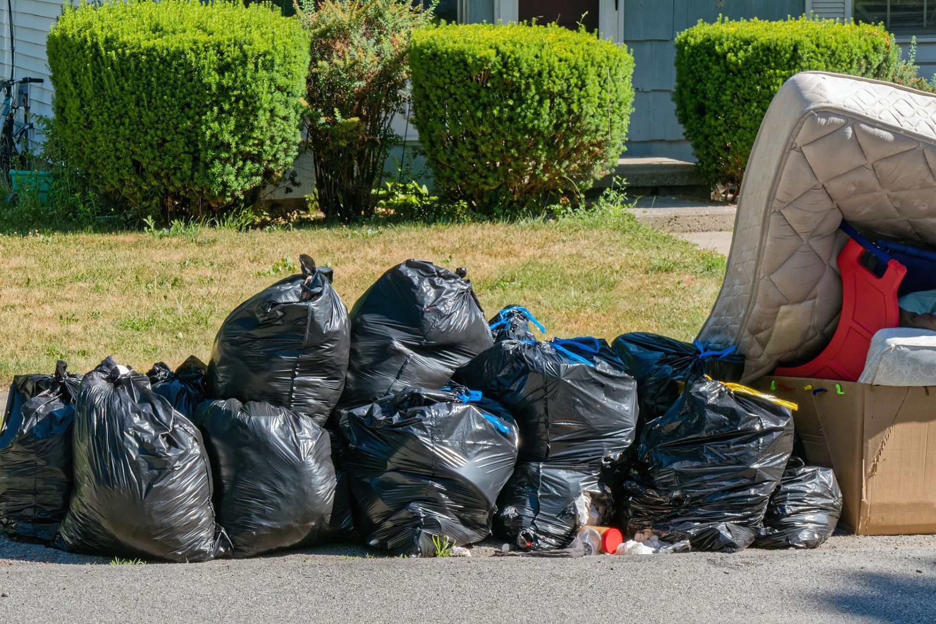 Reliable valet trash pickup in Tampa Bay