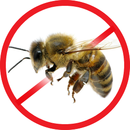 Bees