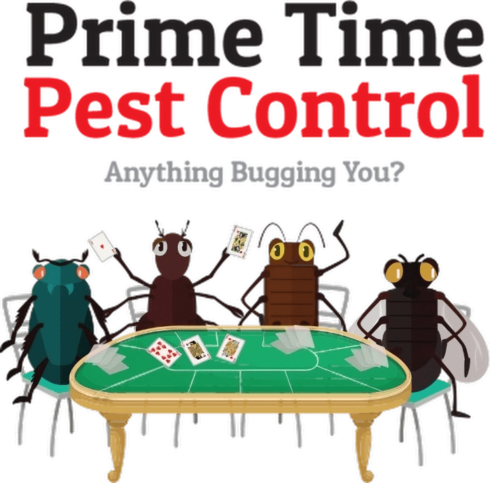 Prime Time Pest Control