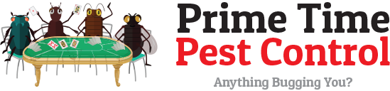Prime Time Pest Control
