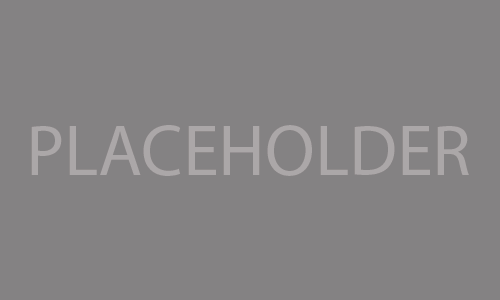 Placeholder text on a gray background.