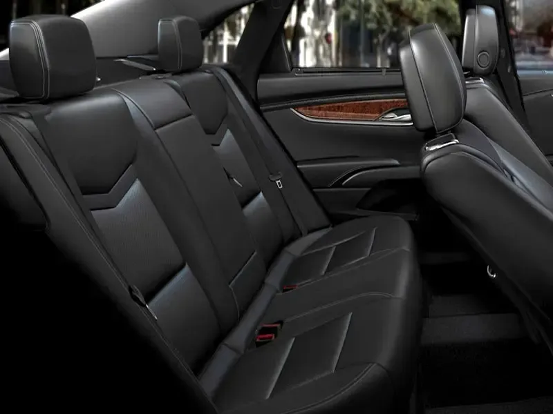 The back seat of a car with black leather seats and a red seat belt.