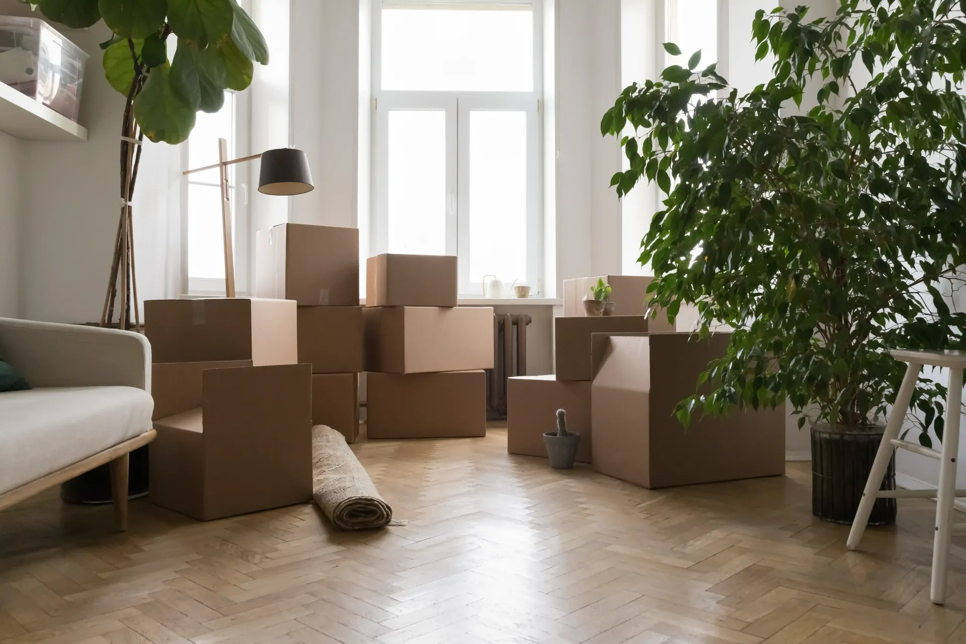 Boxes stacked in a bright living room with plants and a couch, suggesting a move or packing up