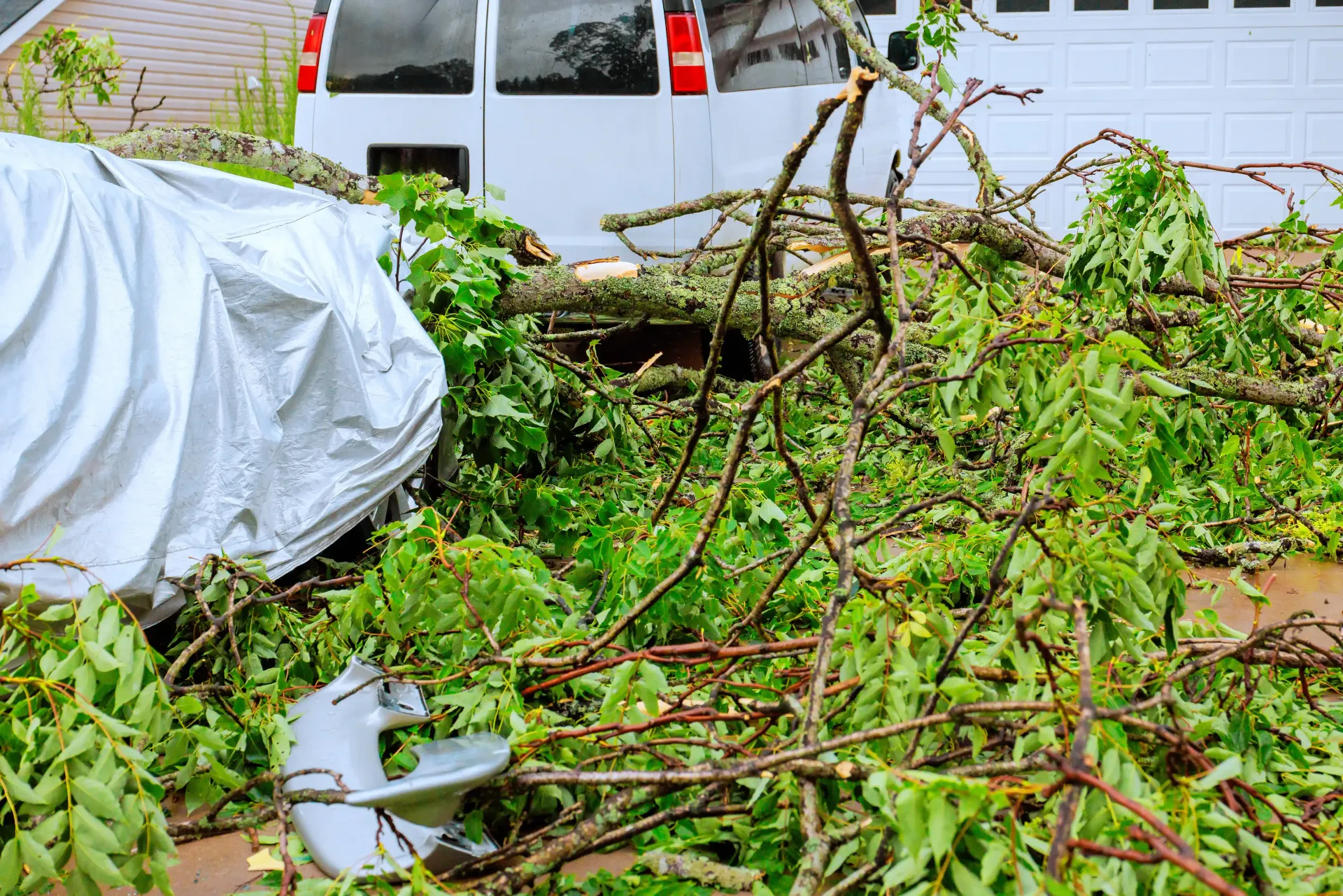 Storm debris and fallen branches scattered around a white vehicle in a yard