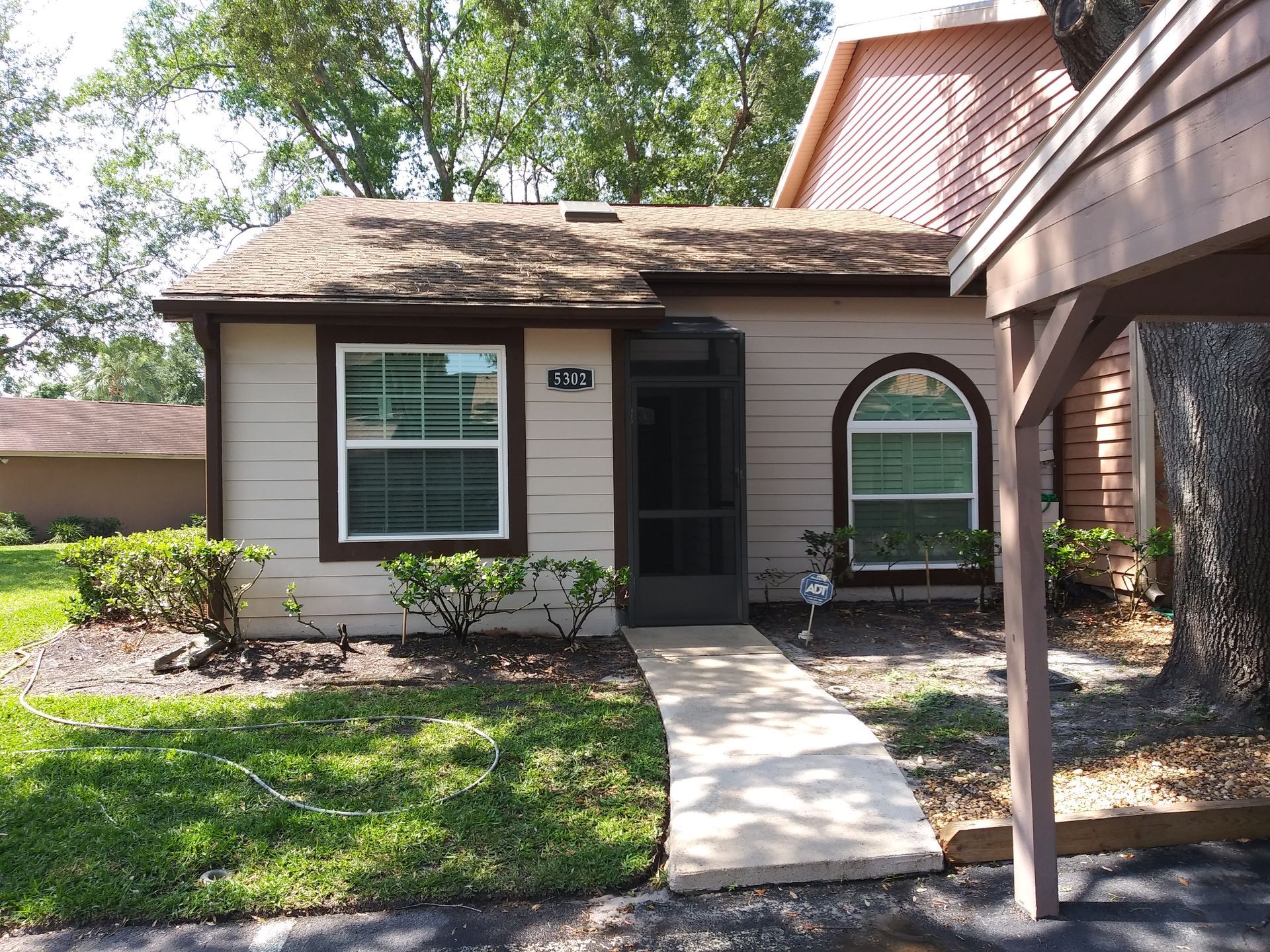 shingle roof cleaning