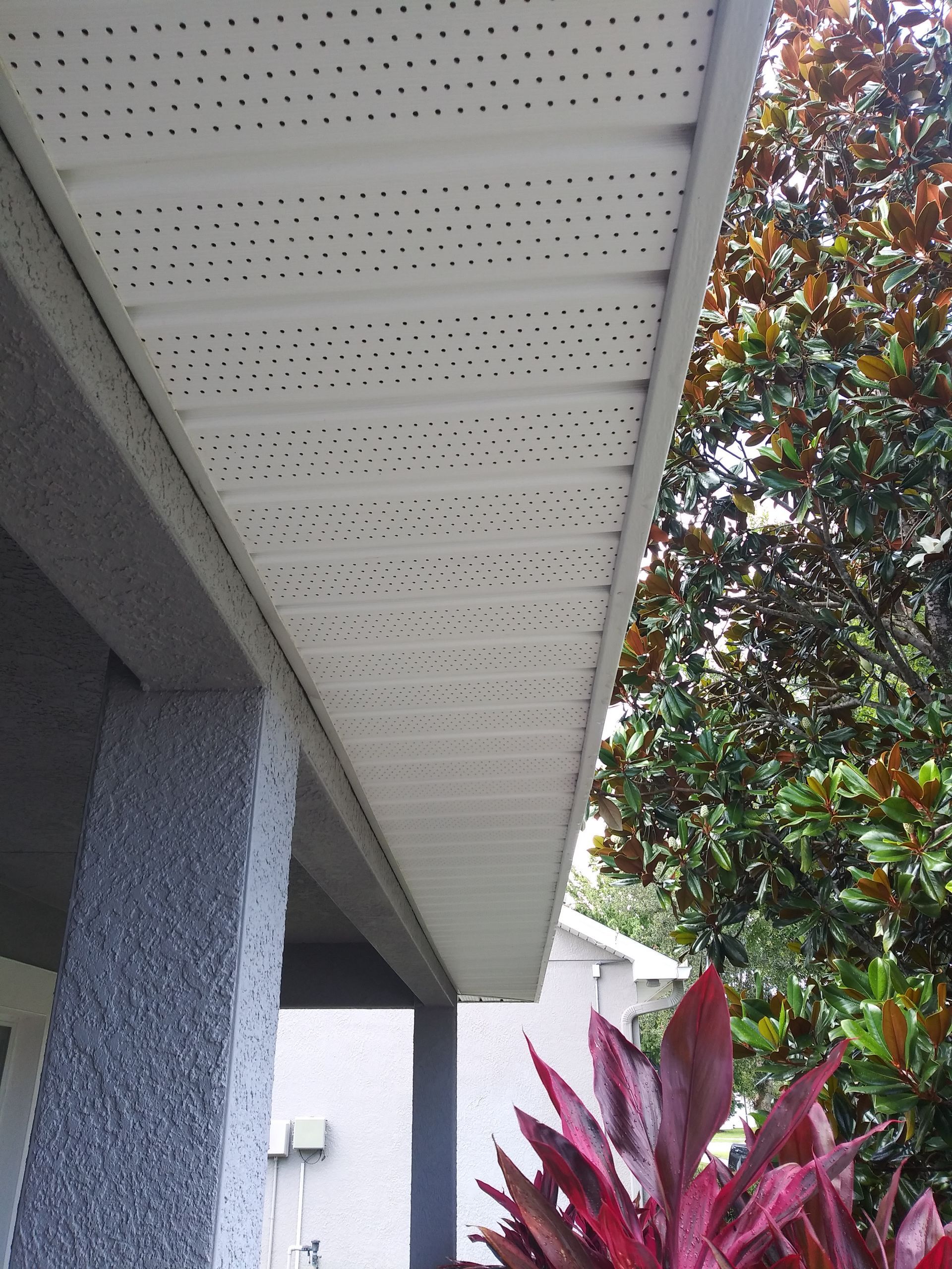 A roof with holes in it and a tree in the background
