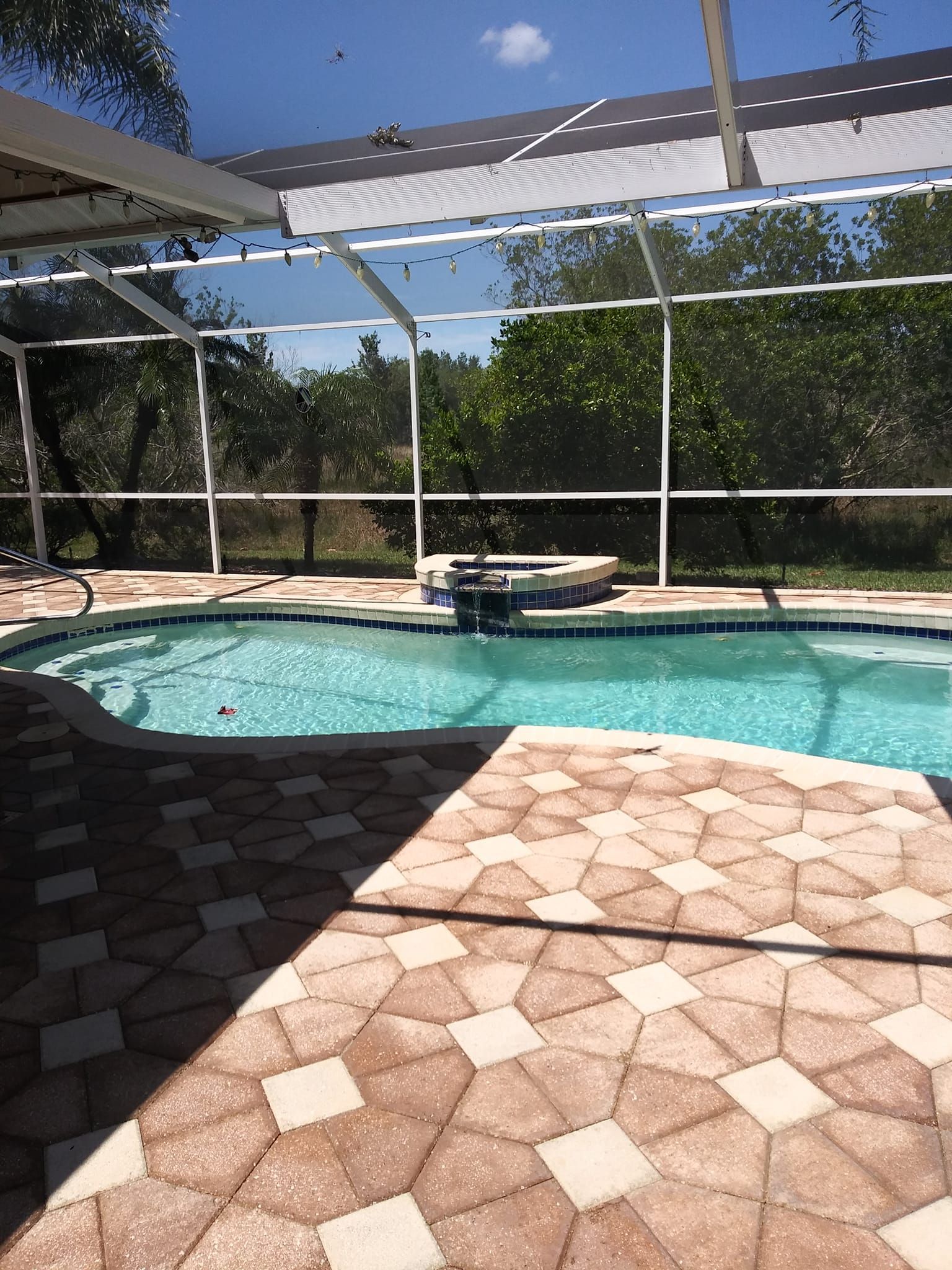 A large swimming pool is surrounded by a screened in area.