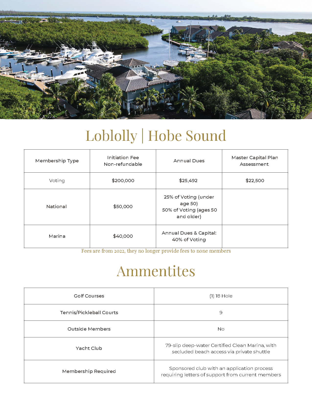 Marina aerial with lush green islands, boats, and a resort amenities flyer below