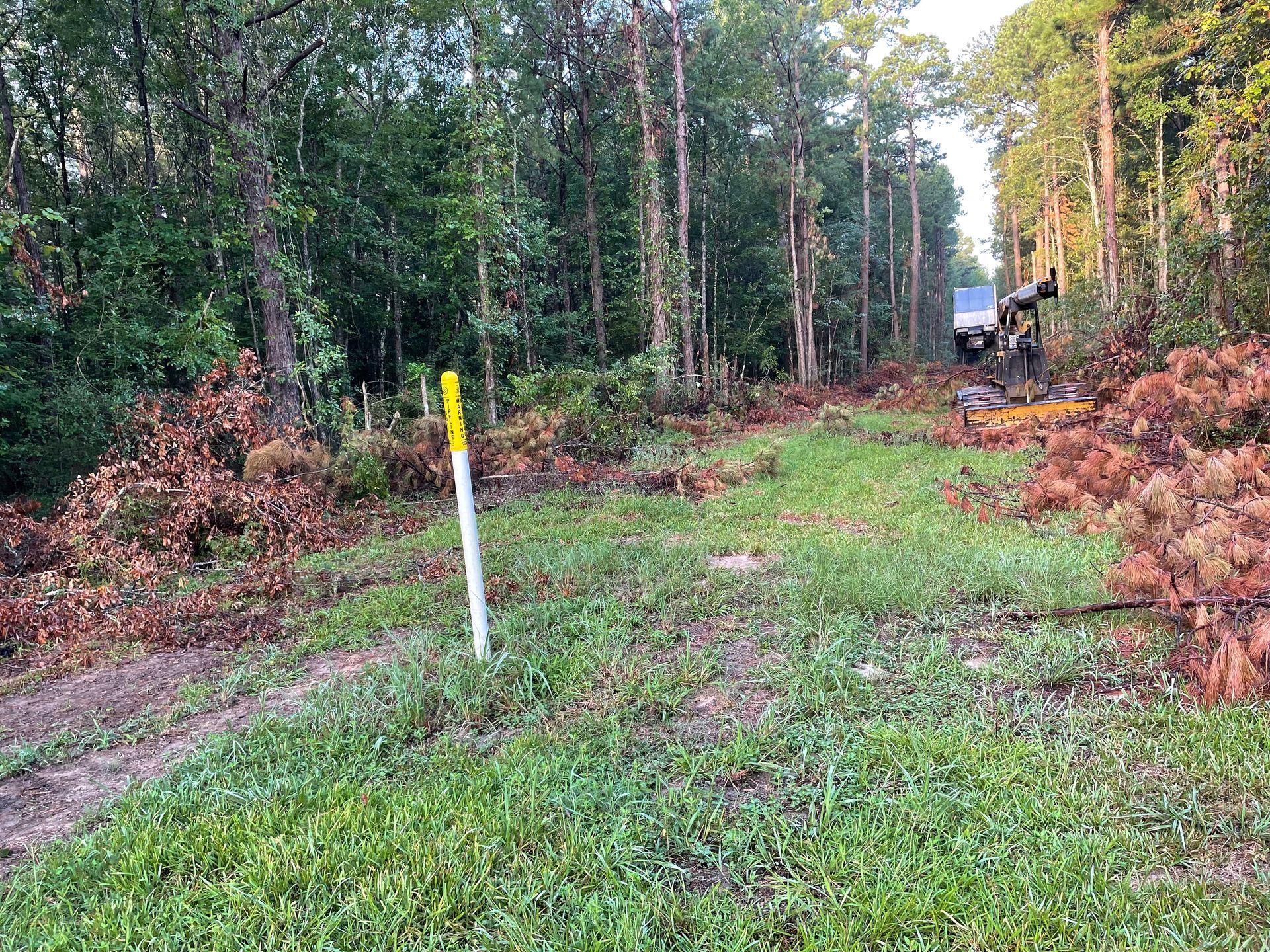 a truck is driving down a dirt road in the middle of a forest .