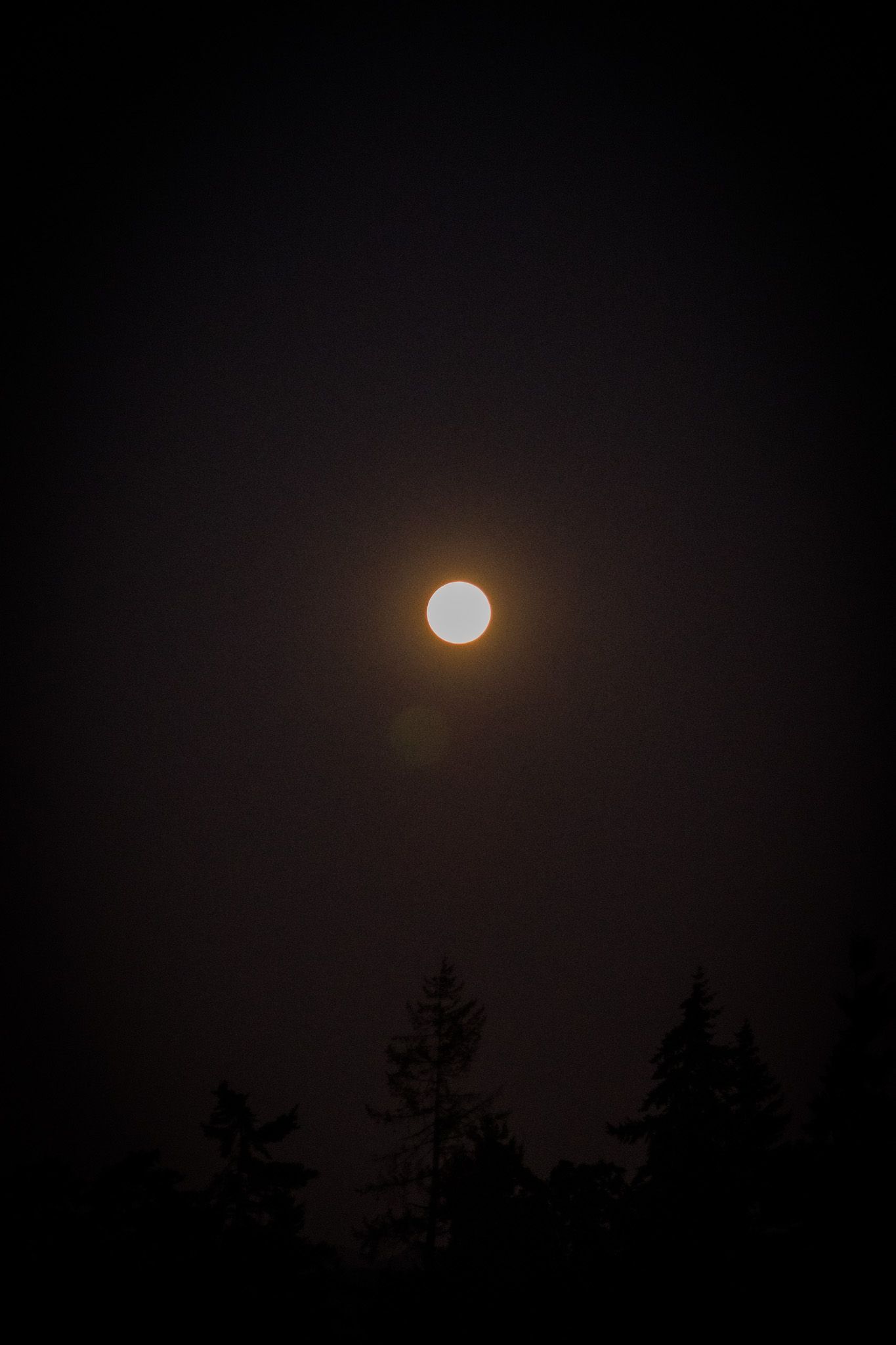 Full moon glowing in a pitch black night sky over Oregon, creating a stark contrast against the dark landscape.