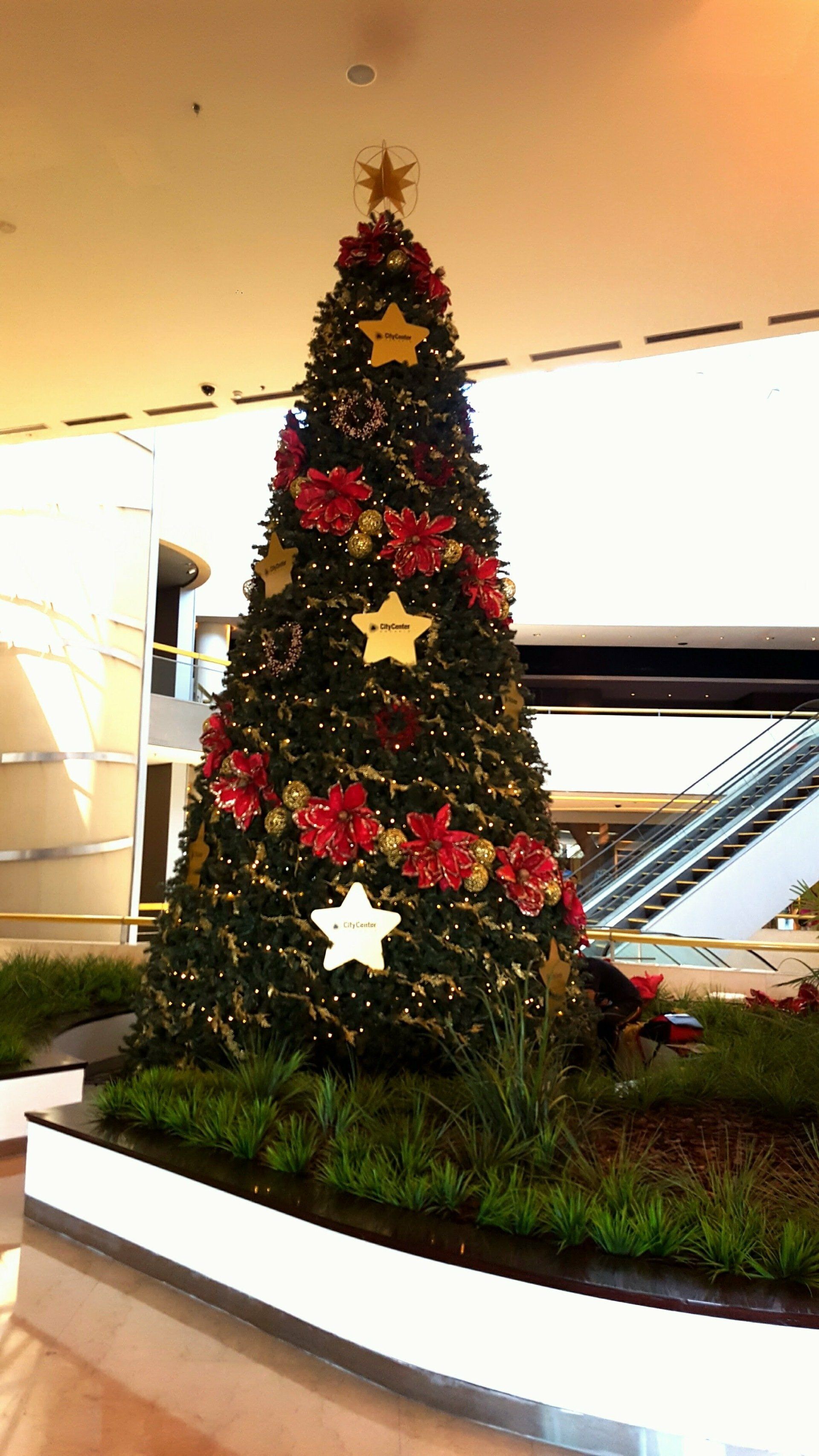 Alto árbol de Navidad decorado con flores rojas y adornos de estrellas en un luminoso atrio interior.