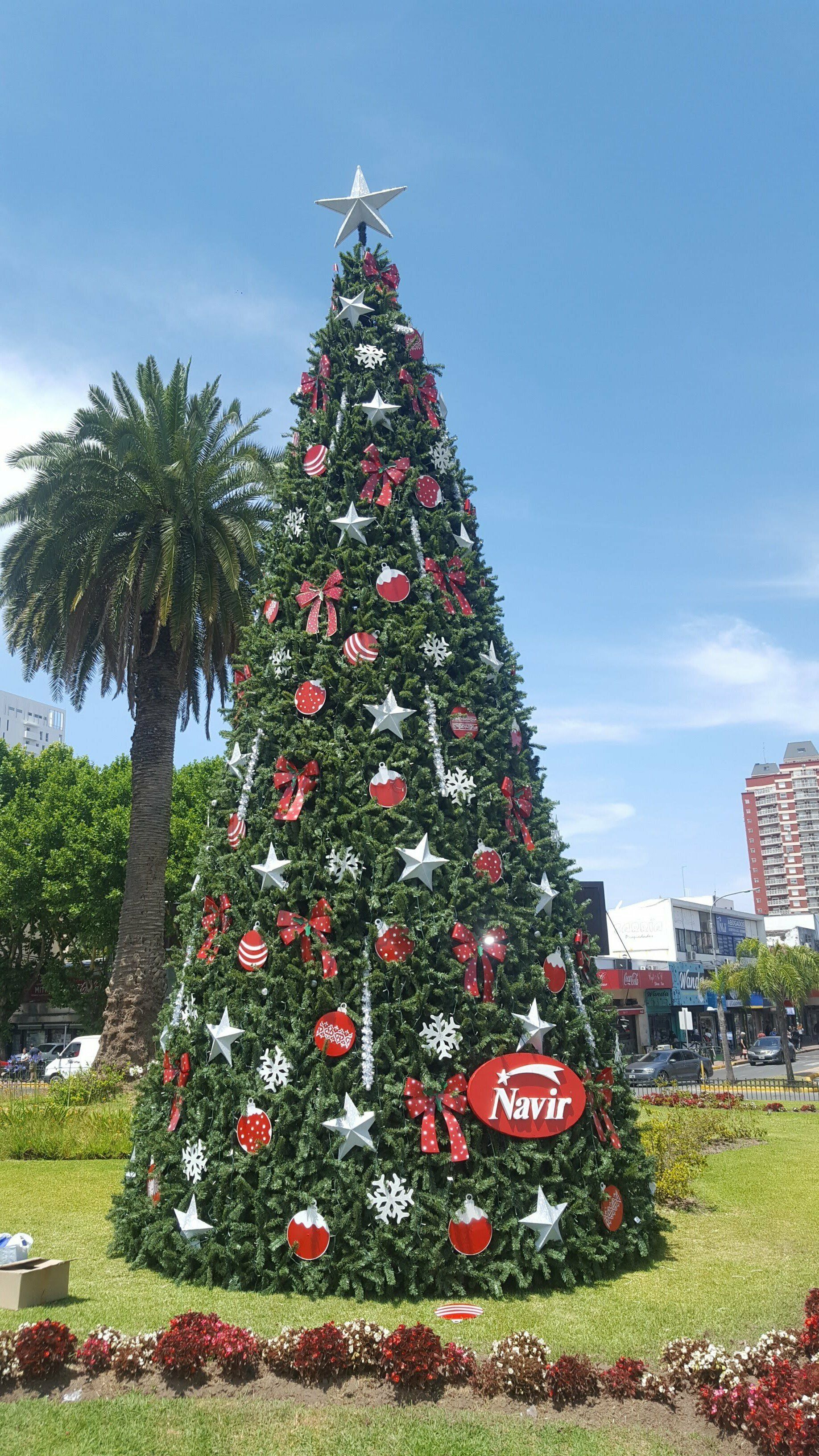 Árbol de Navidad exterior decorado con adornos rojos y estrellas sobre un césped, con una palmera cerca.