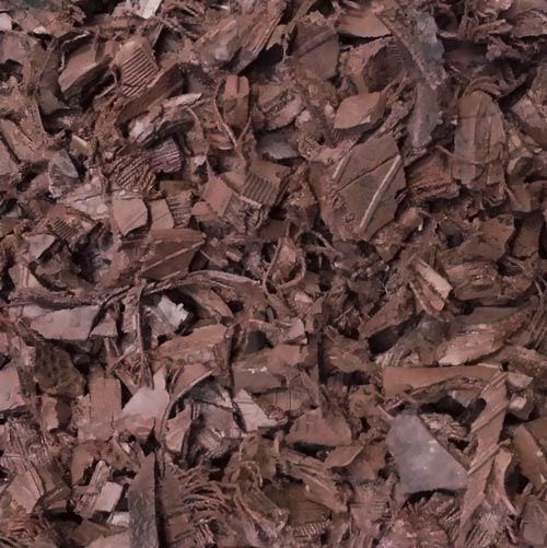Bark Brown