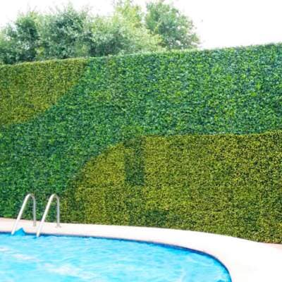 GRUPO CICLON - Muro verde artificial