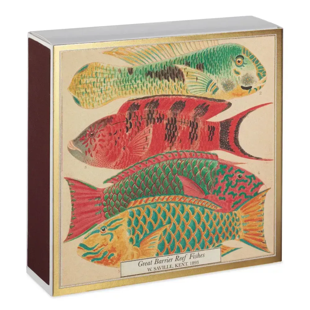 Boîte d'allumettes avec illustrations colorées de poissons de la Grande Barrière de corail. Bordure dorée, côté marron.