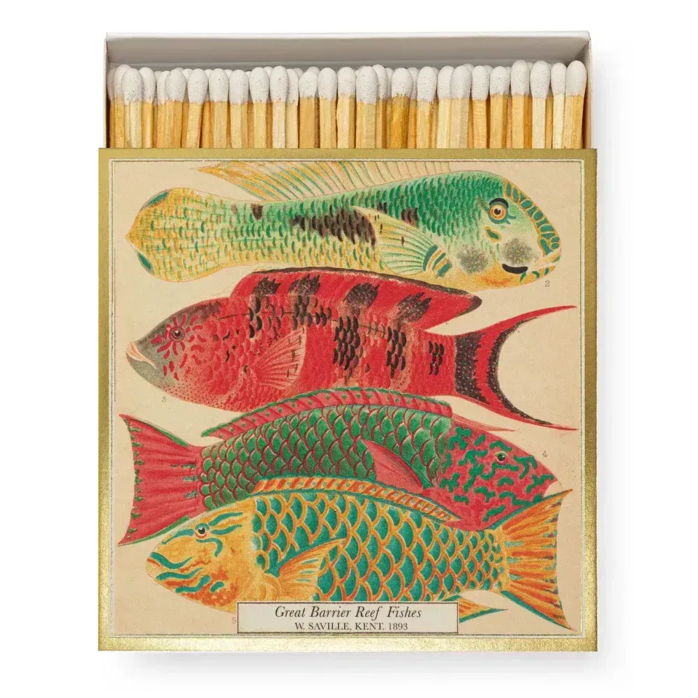 Boîte d'allumettes avec illustrations colorées de poissons de la Grande Barrière de corail. Bordure dorée, côté marron.