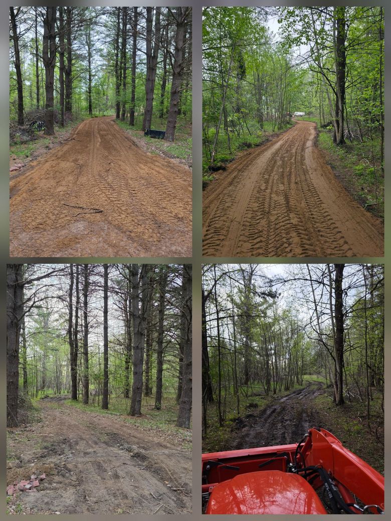Four forest trail views, including muddy dirt paths and a red vehicle hood in the lower right.