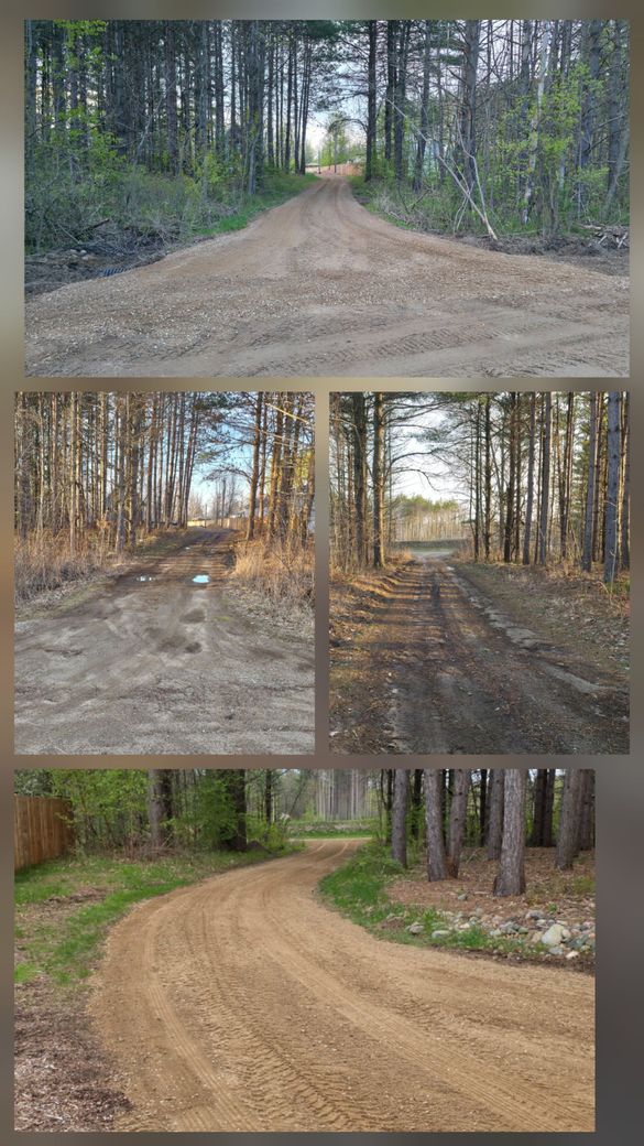 Collage of dirt roads curving through a forest in different seasons