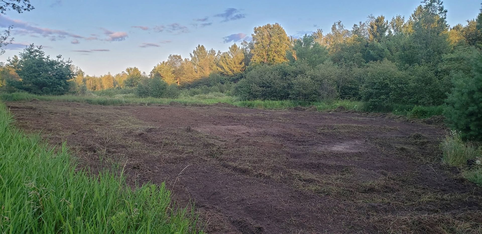 Open dirt field bordered by green trees under a blue sky at sunset