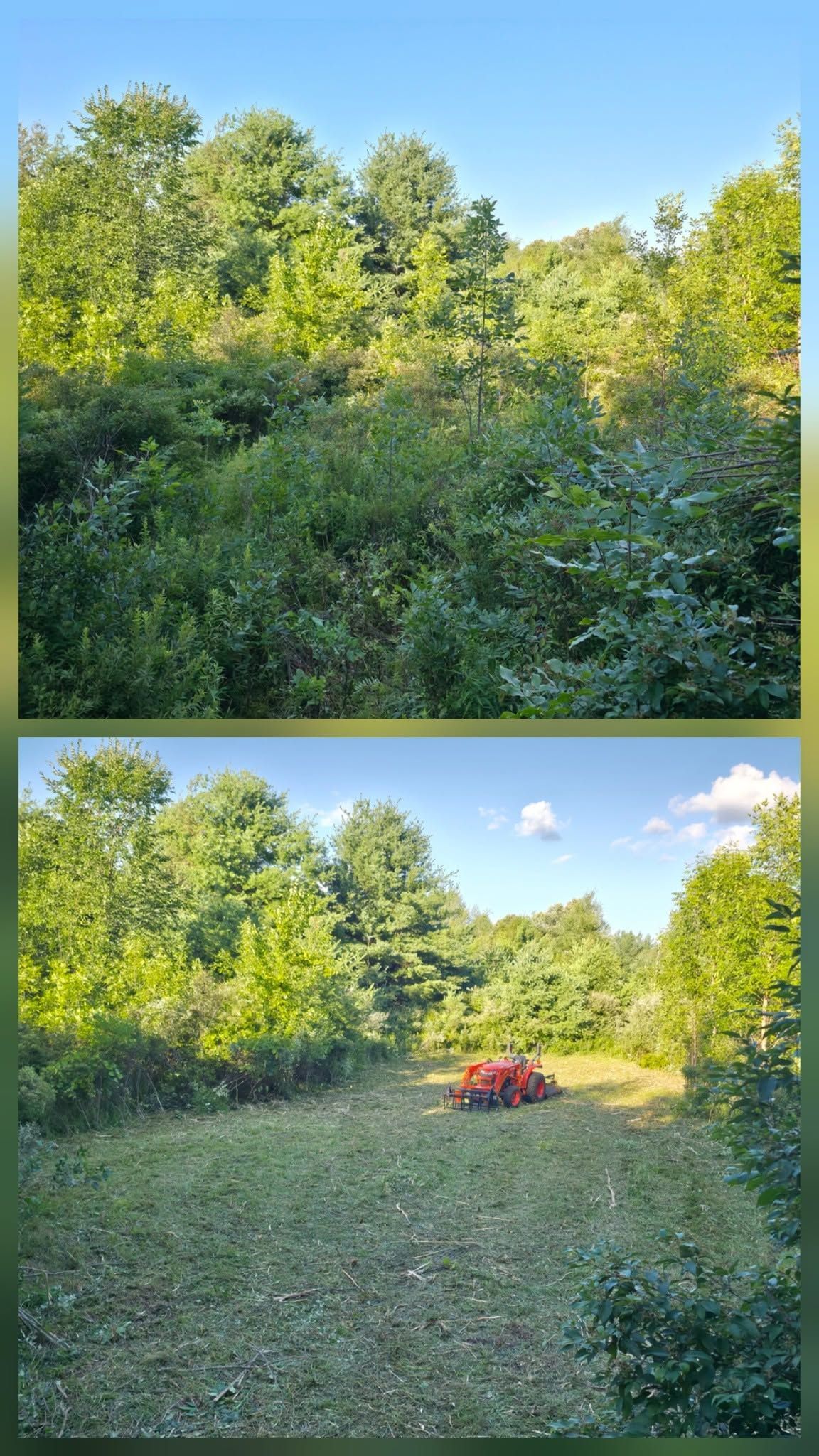 Two photos of a sunlit green field and trees, with a red mower in the lower image