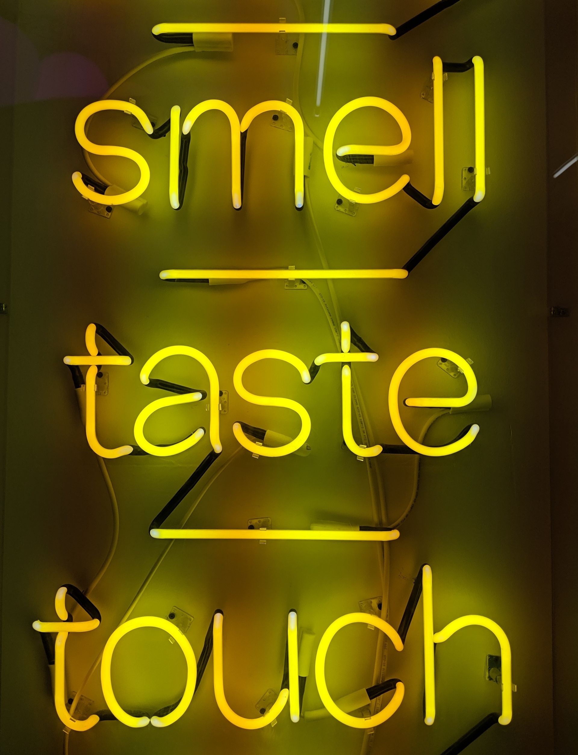 Engaging Audiences Through Multisensory Videos