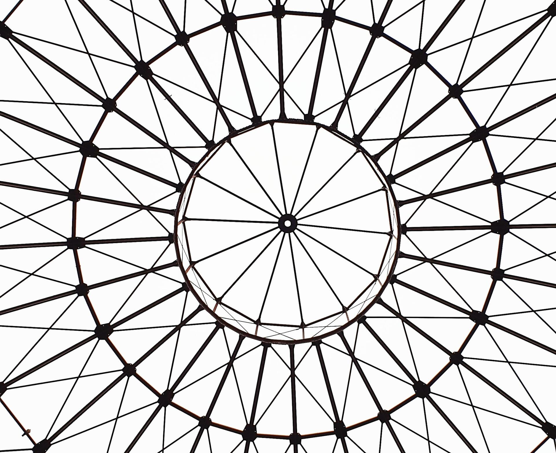 Web pattern in black and white