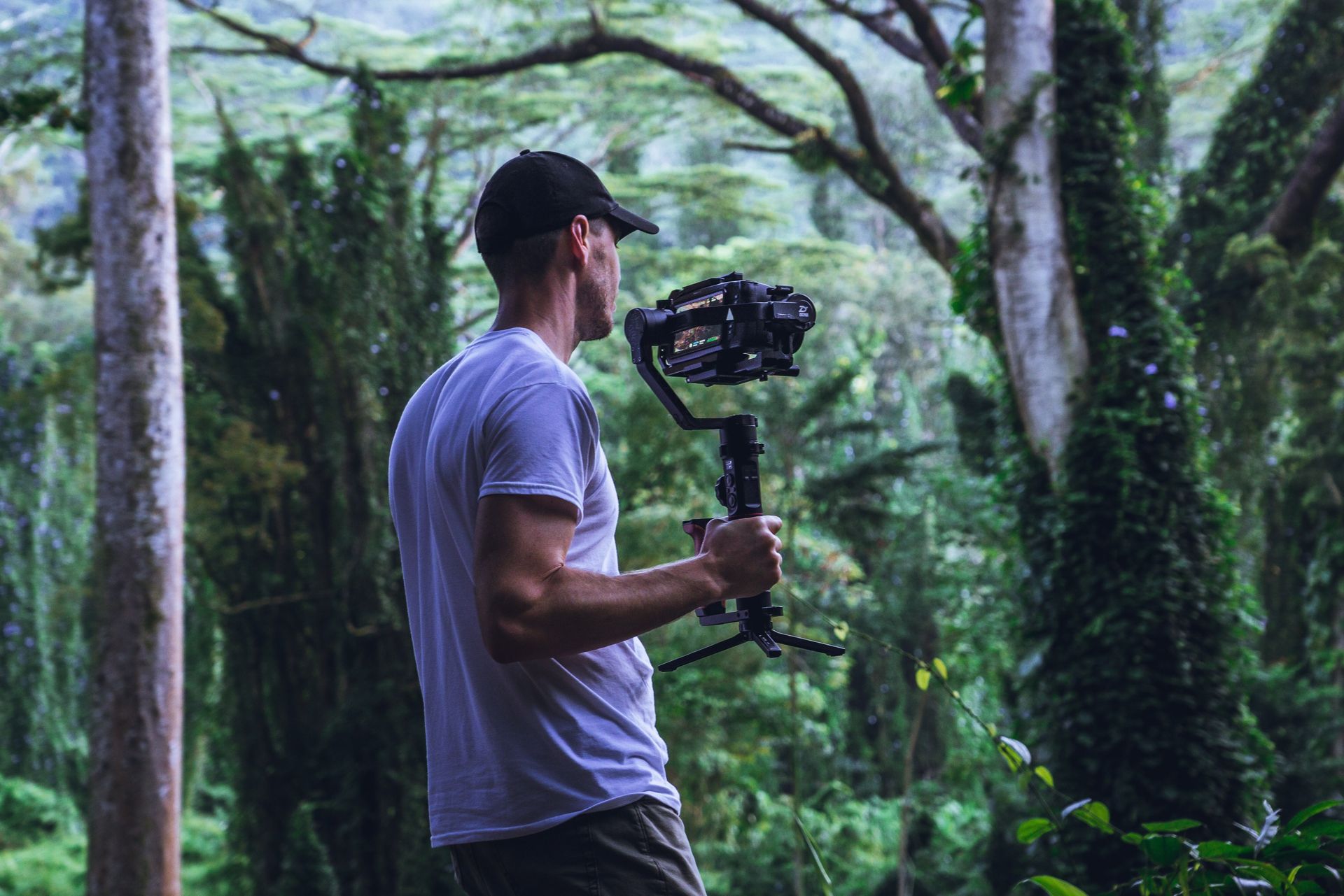 Person holding a gimbal video camera system in forest Person holding a gimbal video camera system in forest