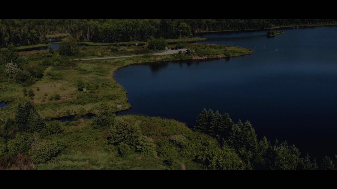 Video still