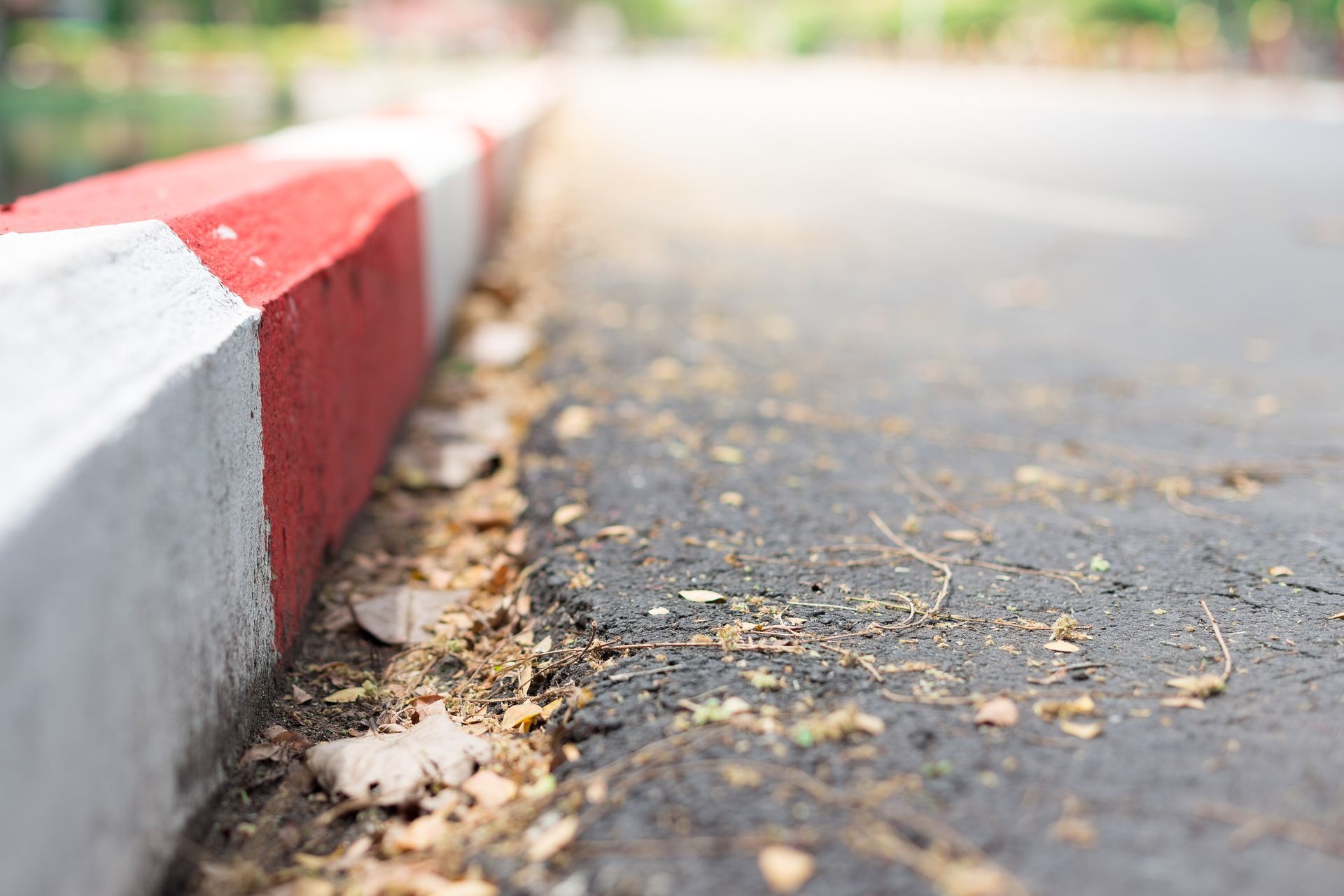 A red and white curb on the side of a road with leaves on the ground.