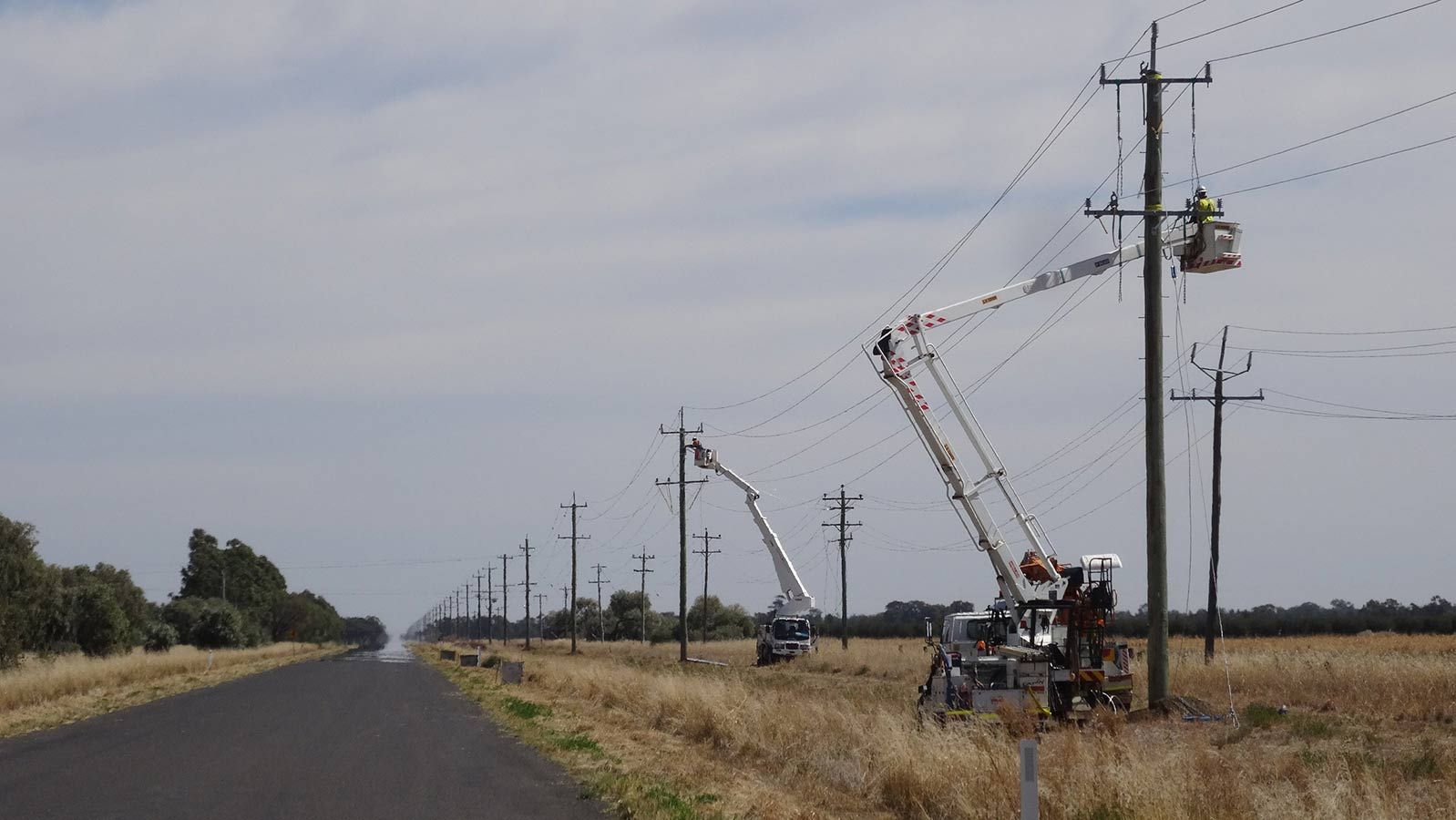 A Row of Power Lines Along the Side of a Road — Country Powerline Constructions in Coonamble, NSW