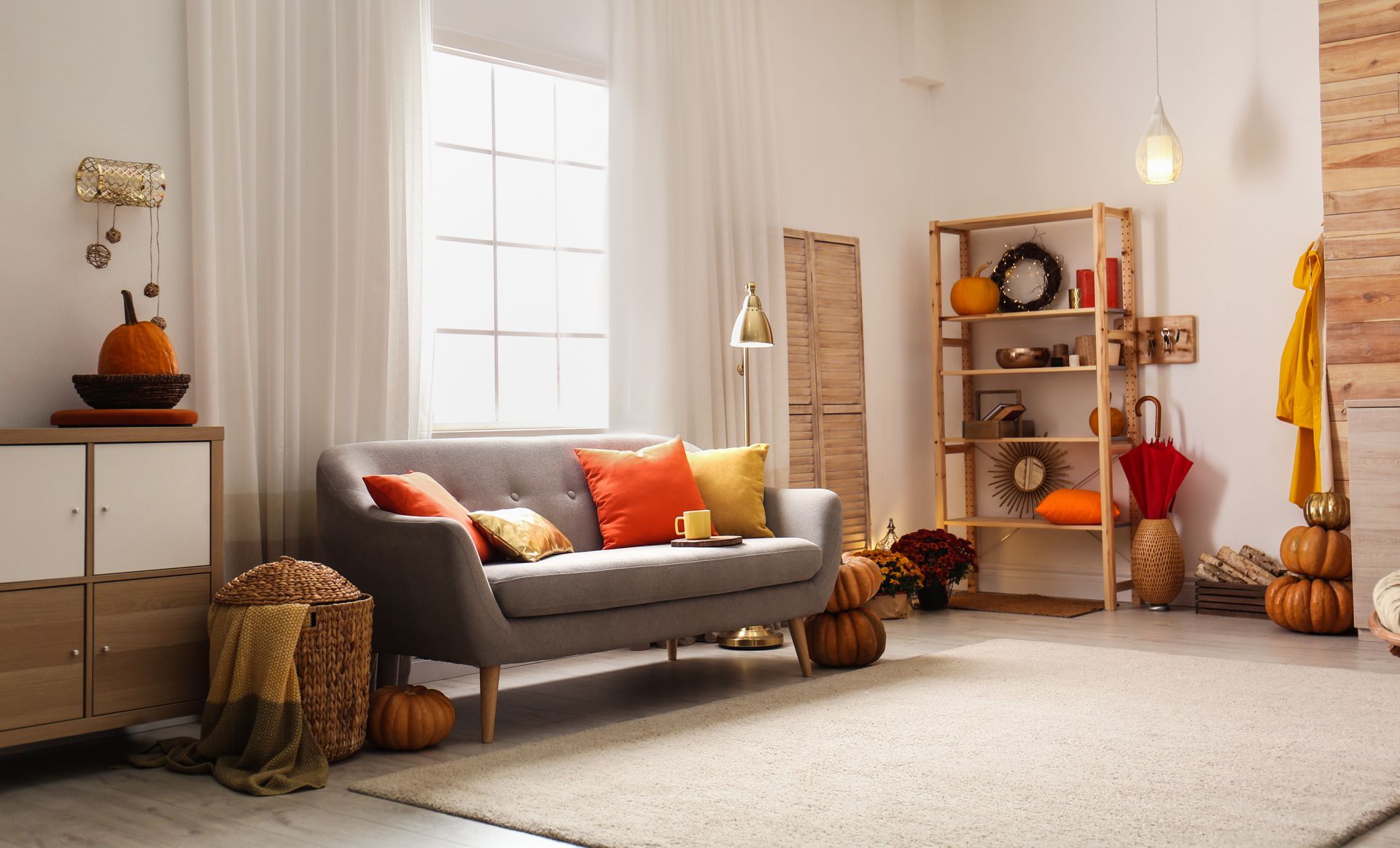 Cozy living room with gray sofa, orange pillows, shelves, plants, and warm decor by a bright window Cozy living room with gray sofa, orange pillows, shelves, plants, and warm decor by a bright window