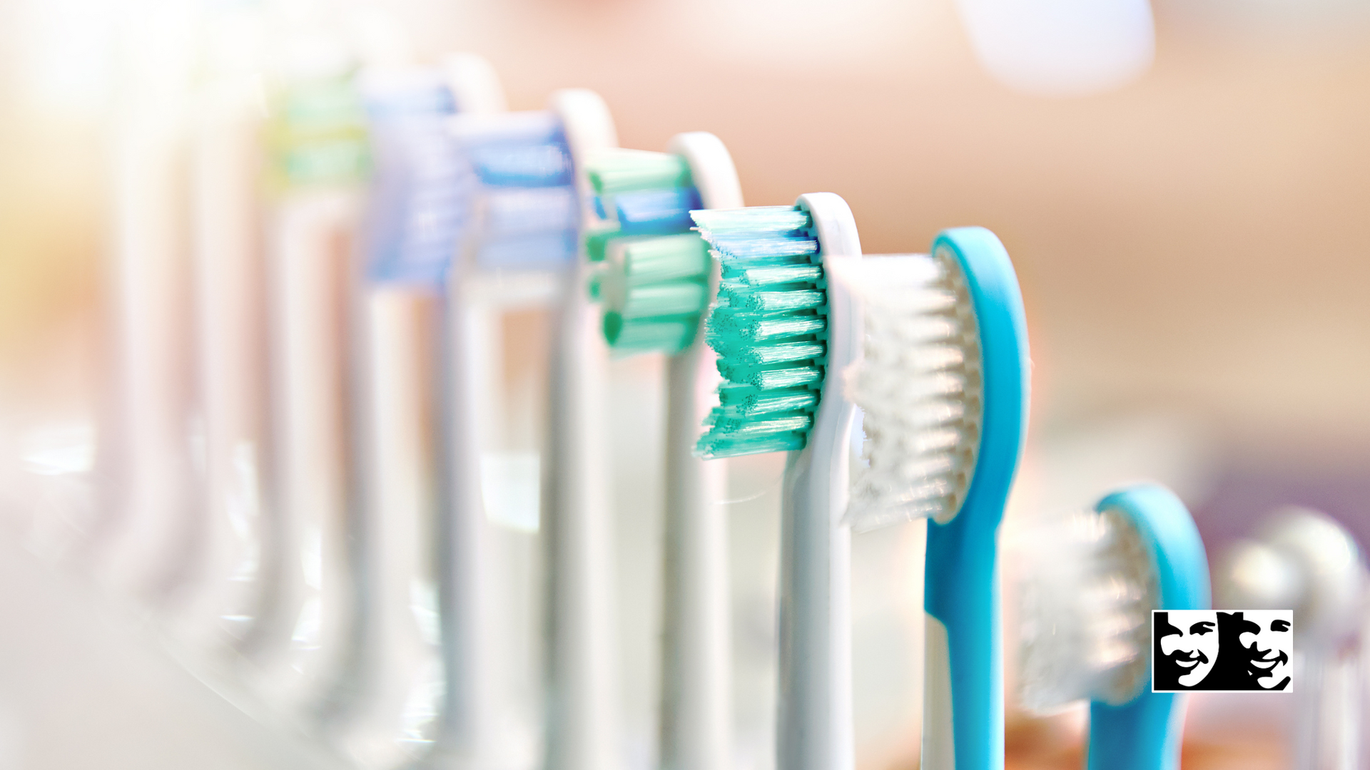 A row of toothbrushes of different colors are lined up in a row.