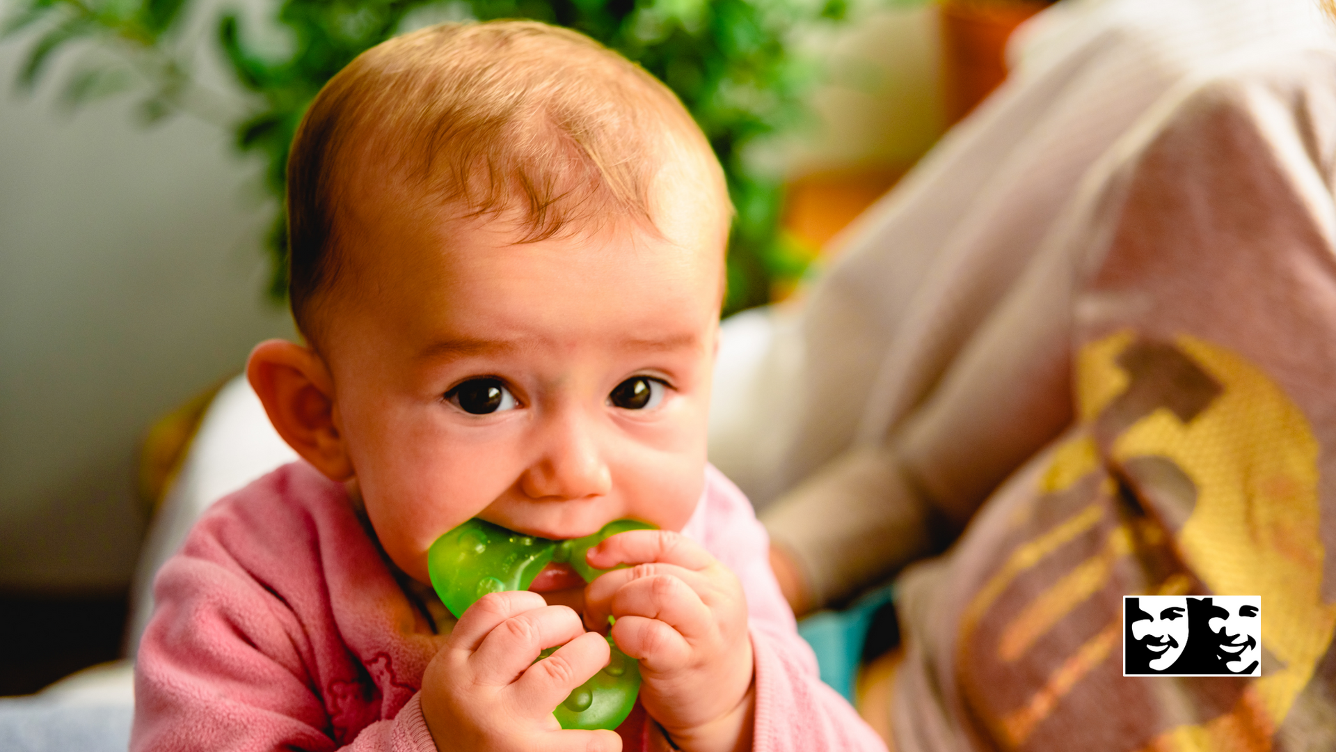A baby is chewing on a green toy.